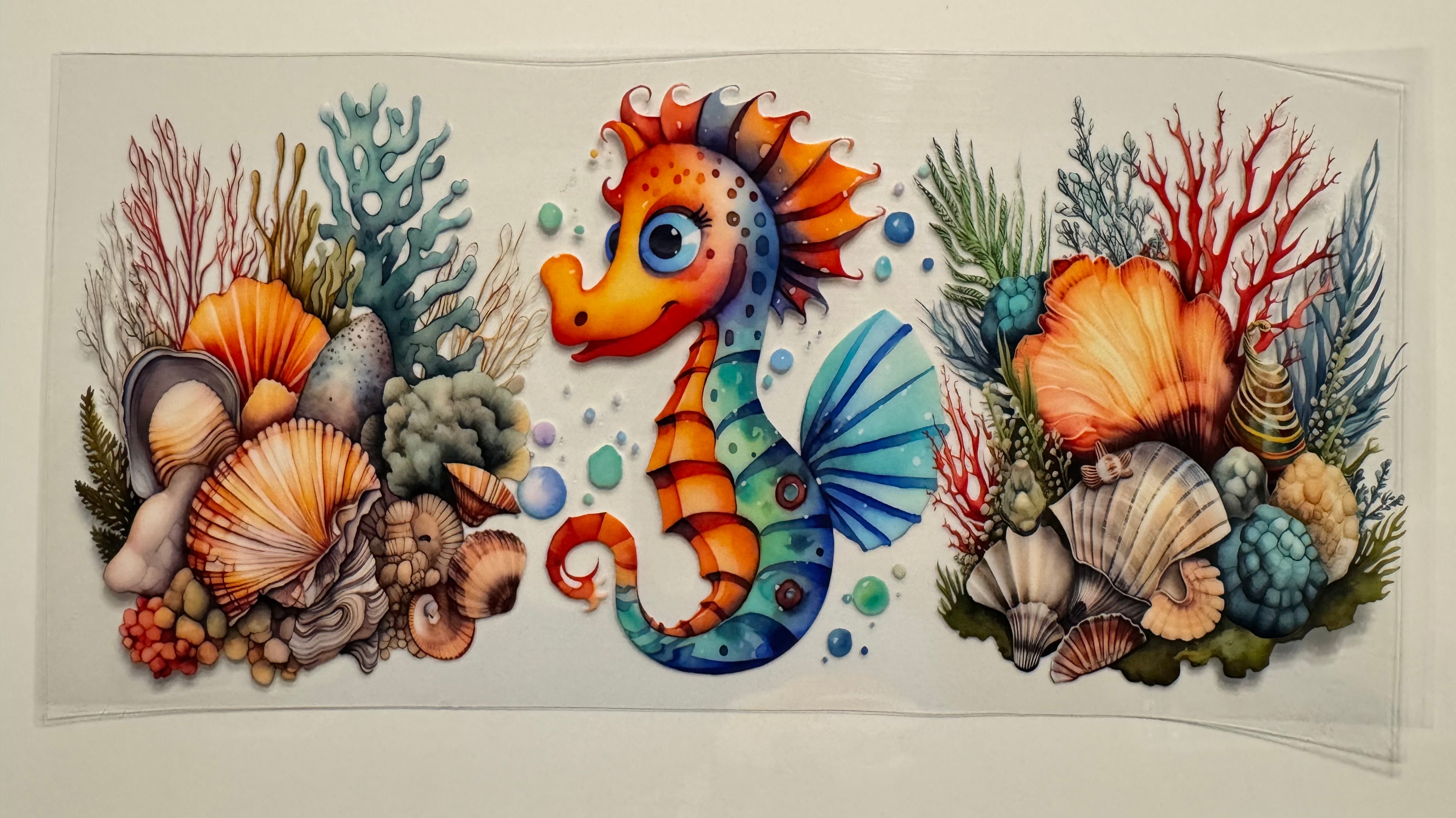 Ocean & Beach