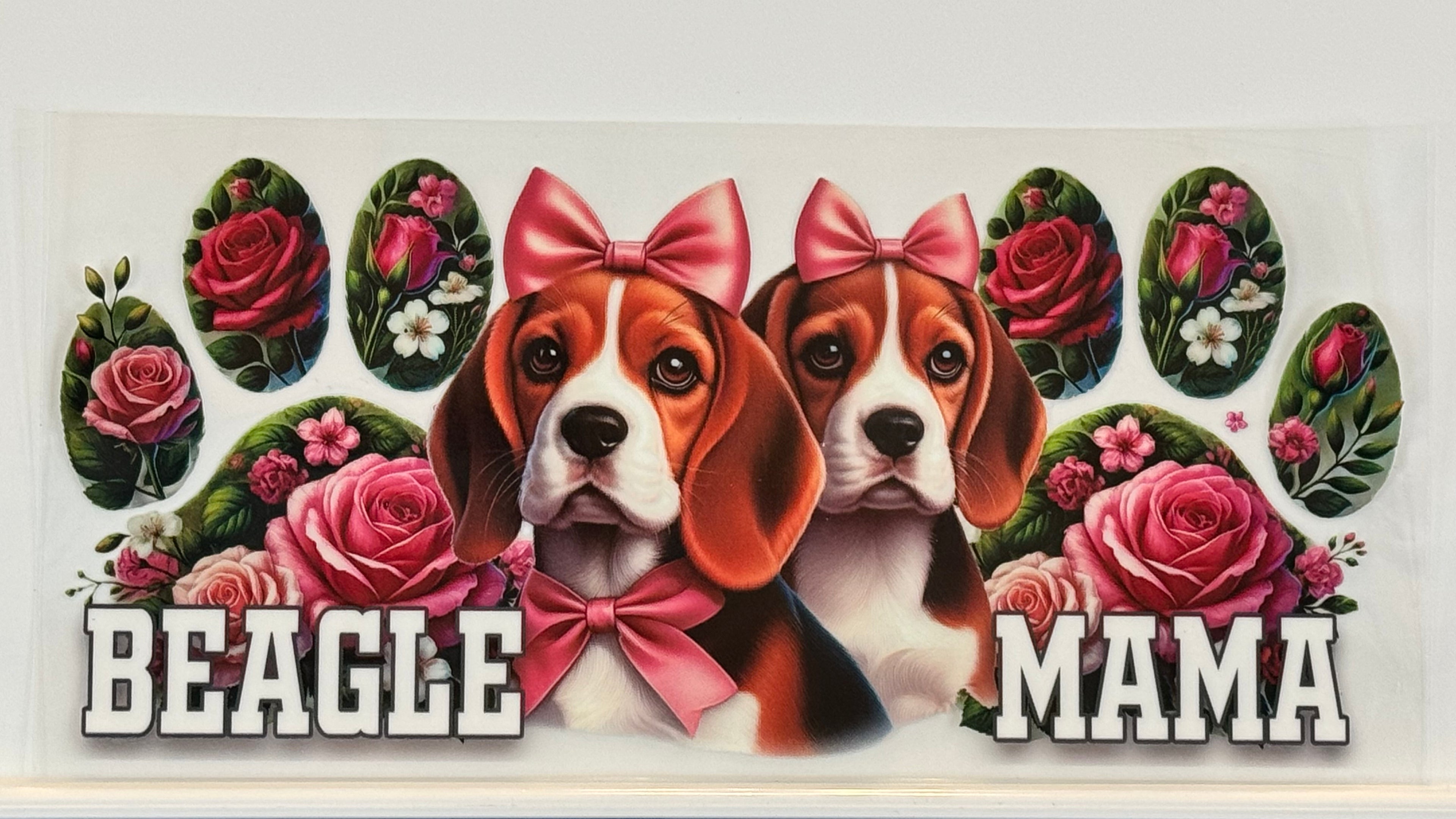 Cats and Dogs