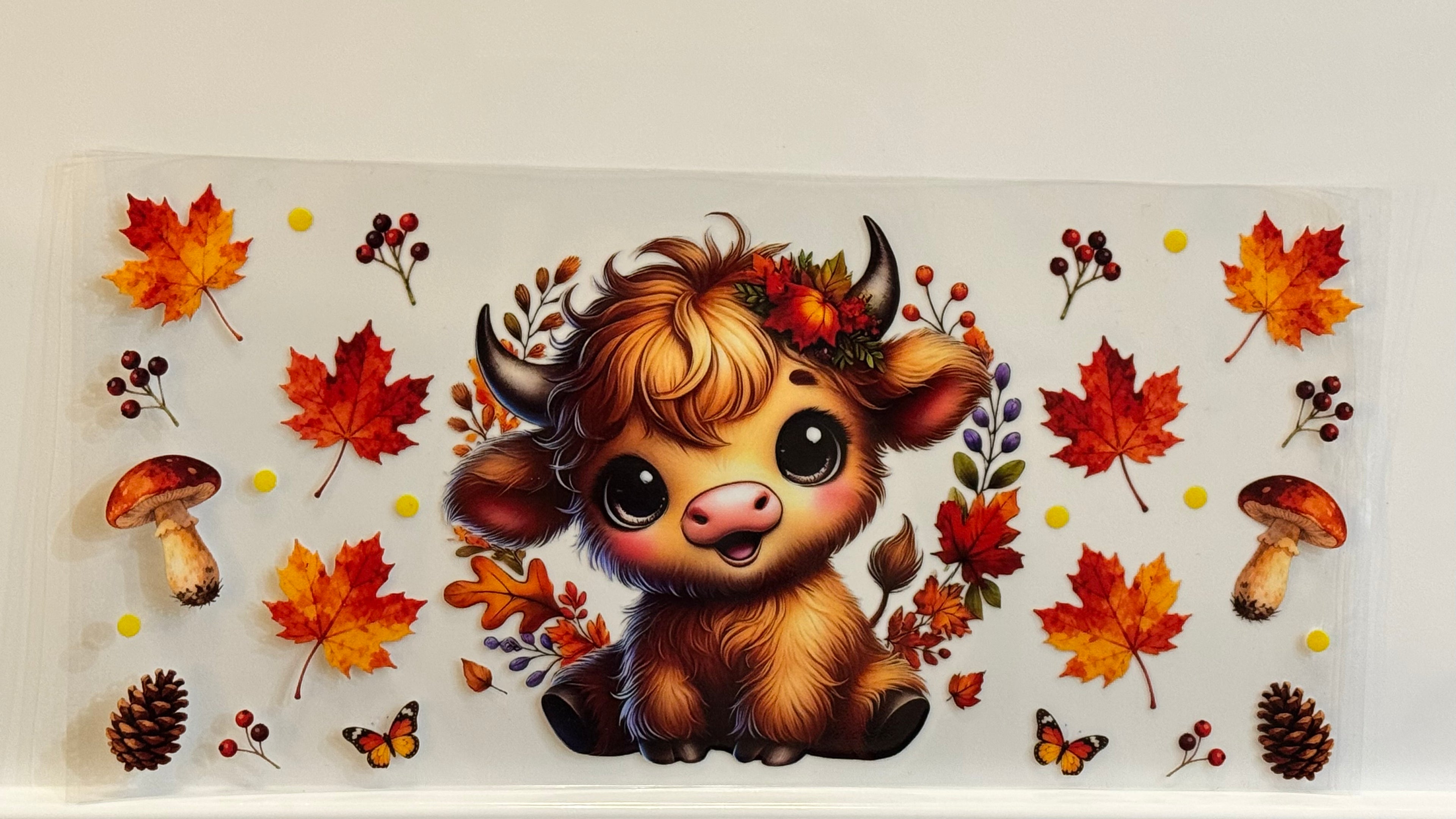 Highland Cows