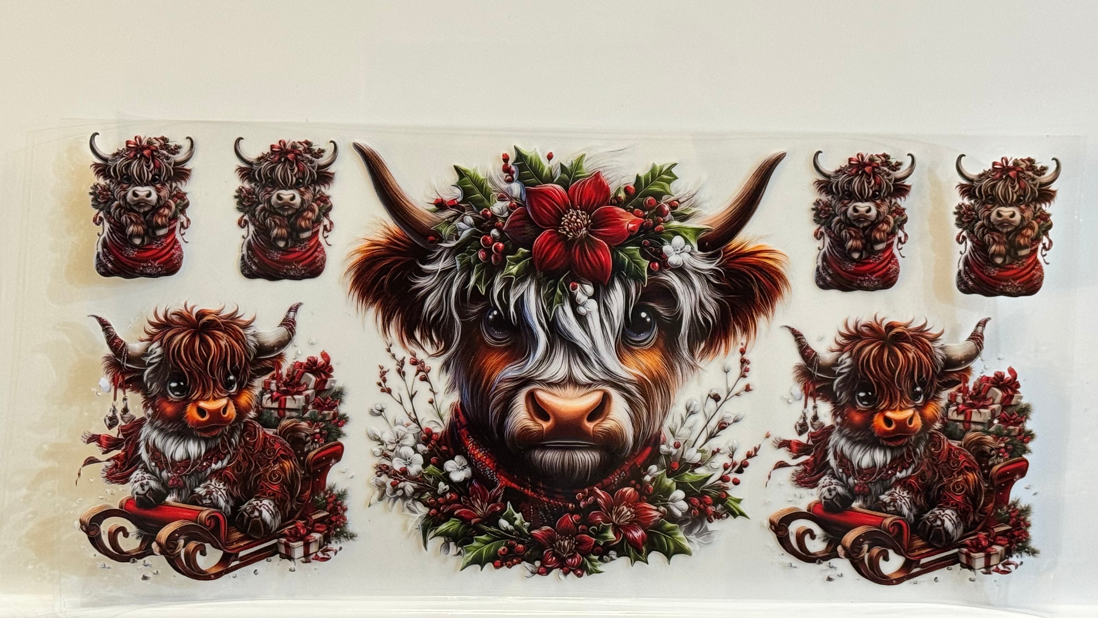 Highland Cows