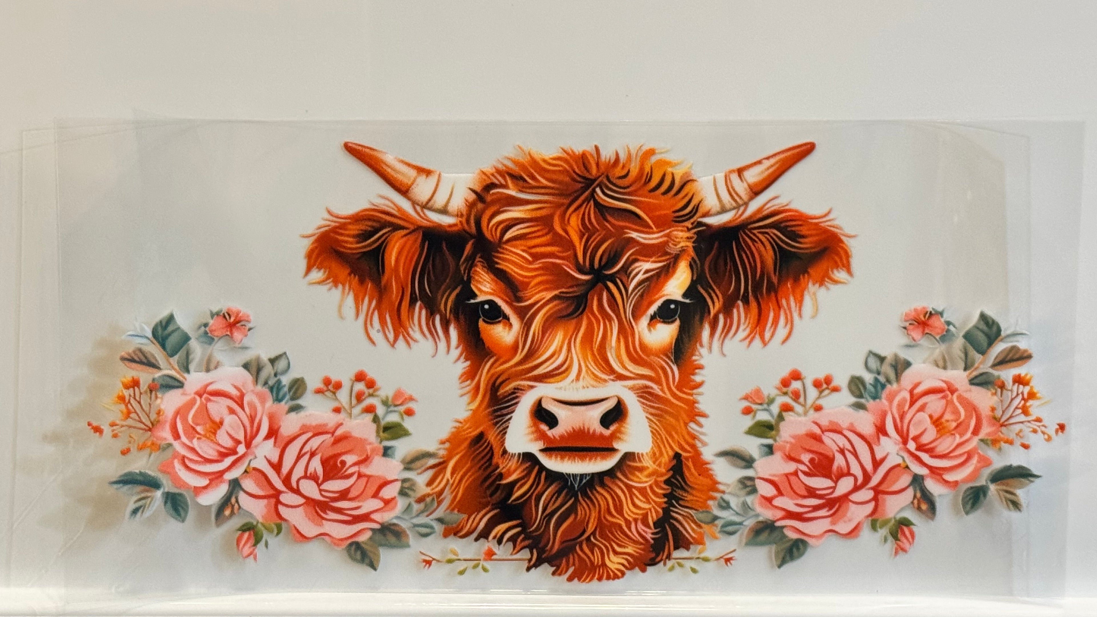 Highland Cows