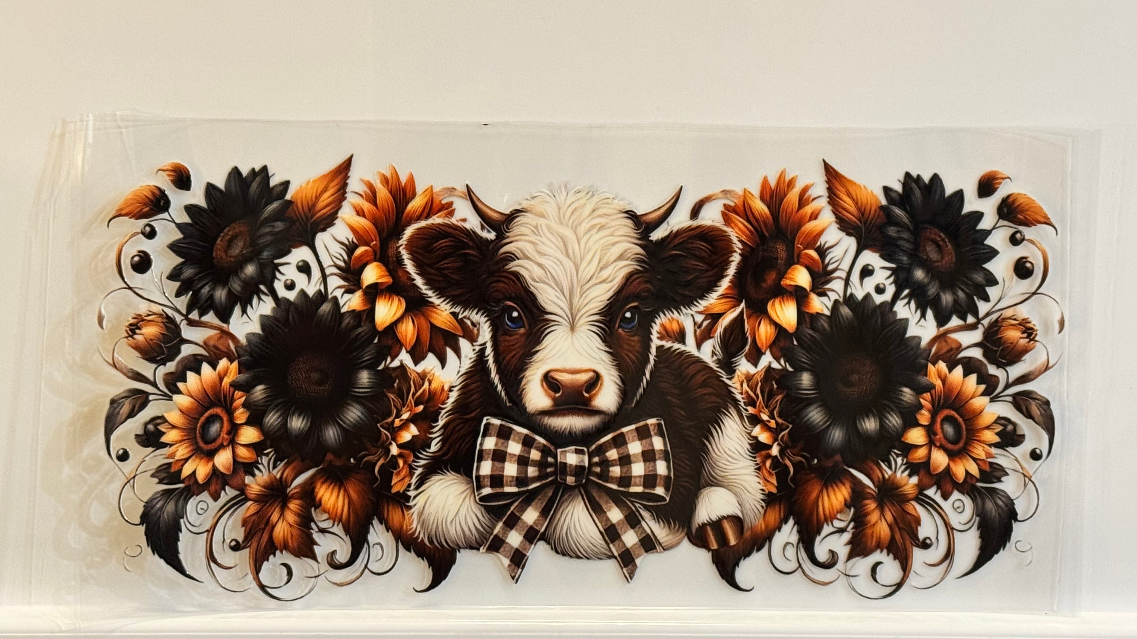 Highland Cows