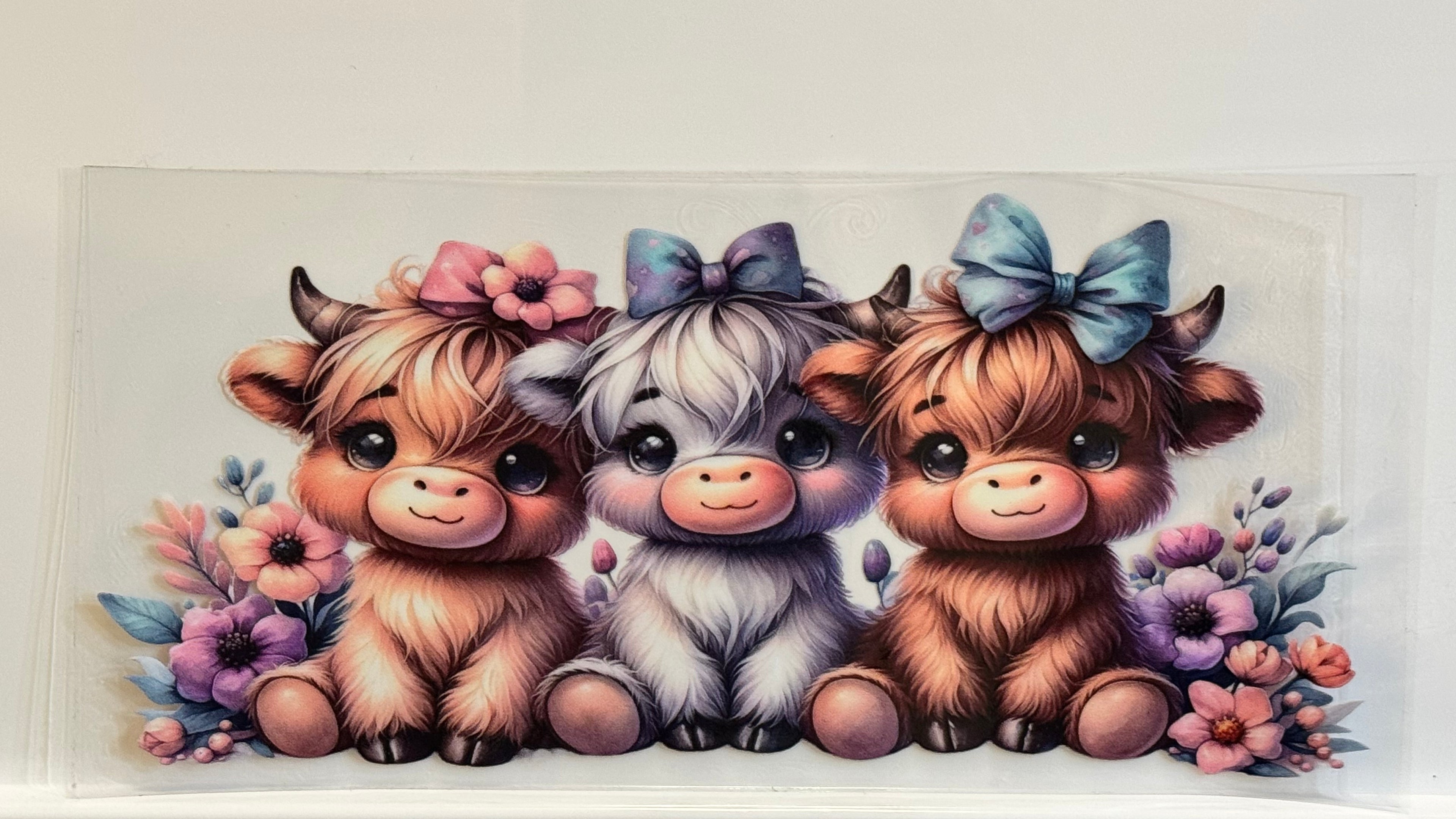 Highland Cows