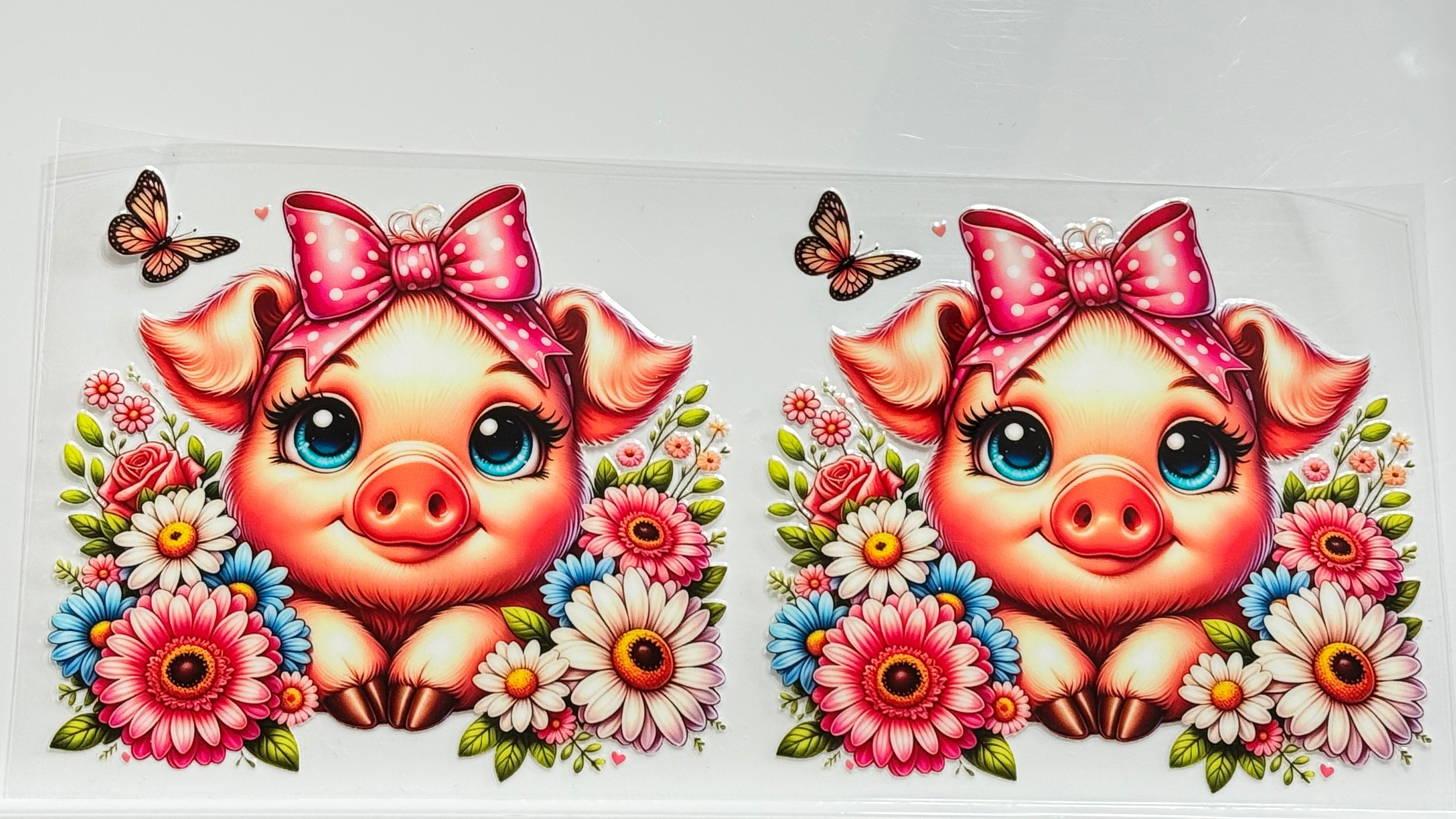 Cute Animals