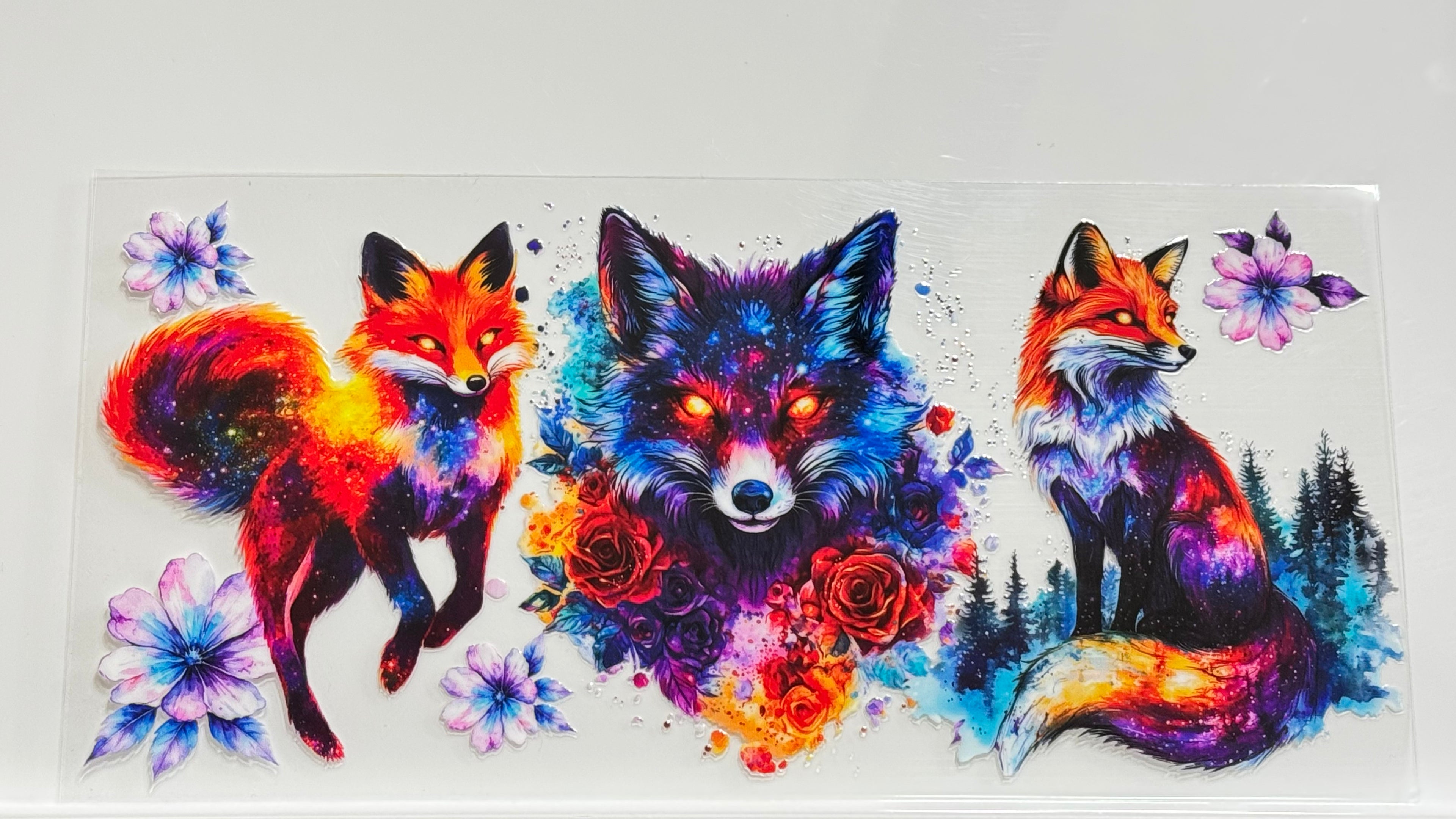 Cute Animals