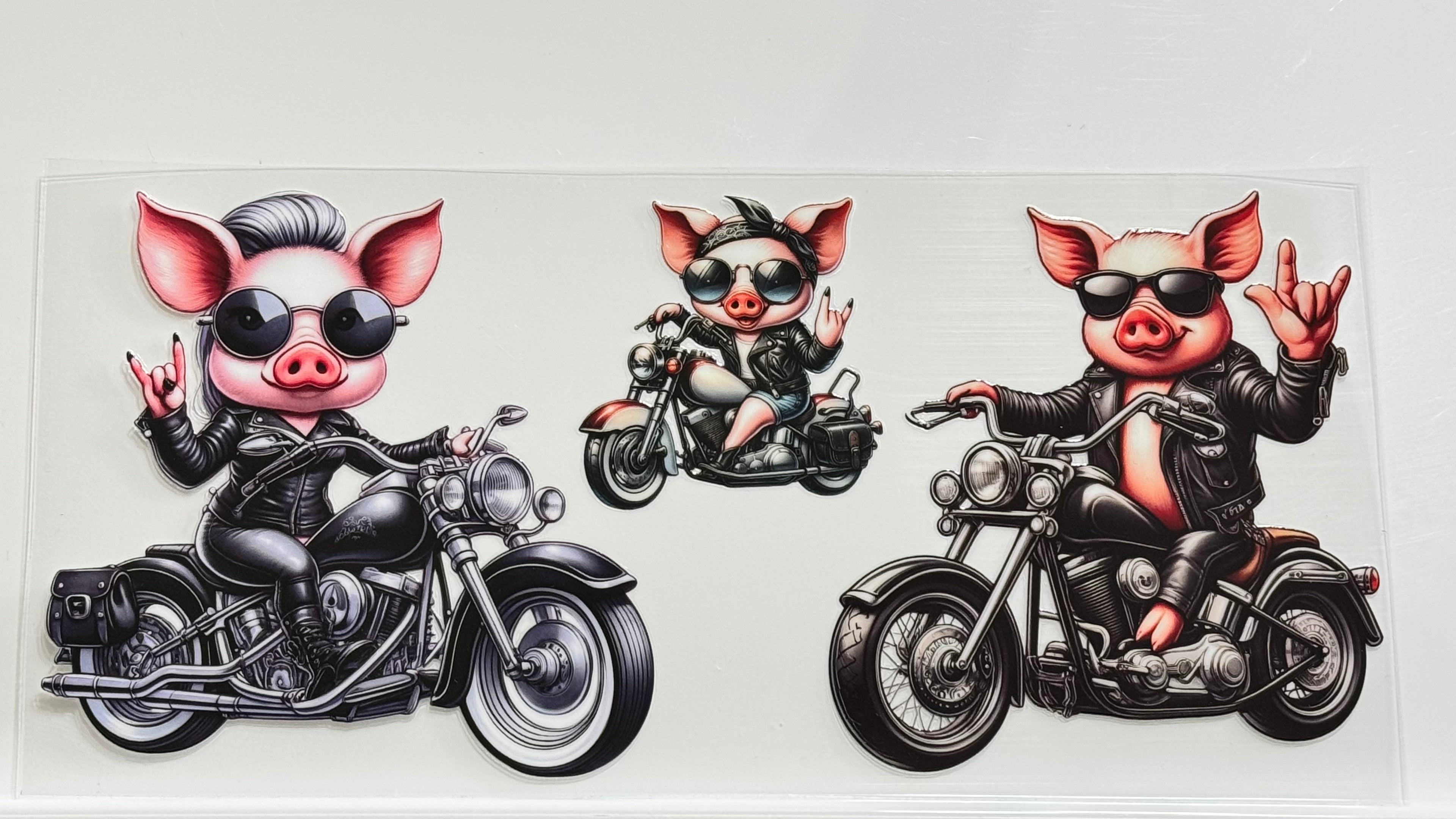 Cute Animals