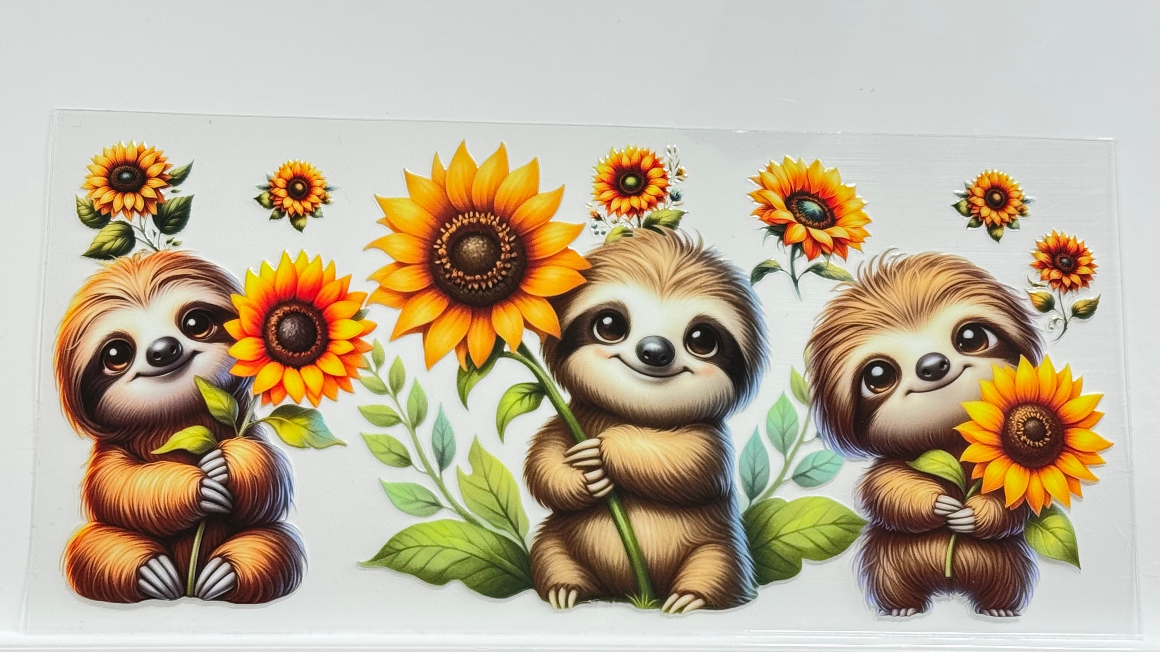 Cute Animals