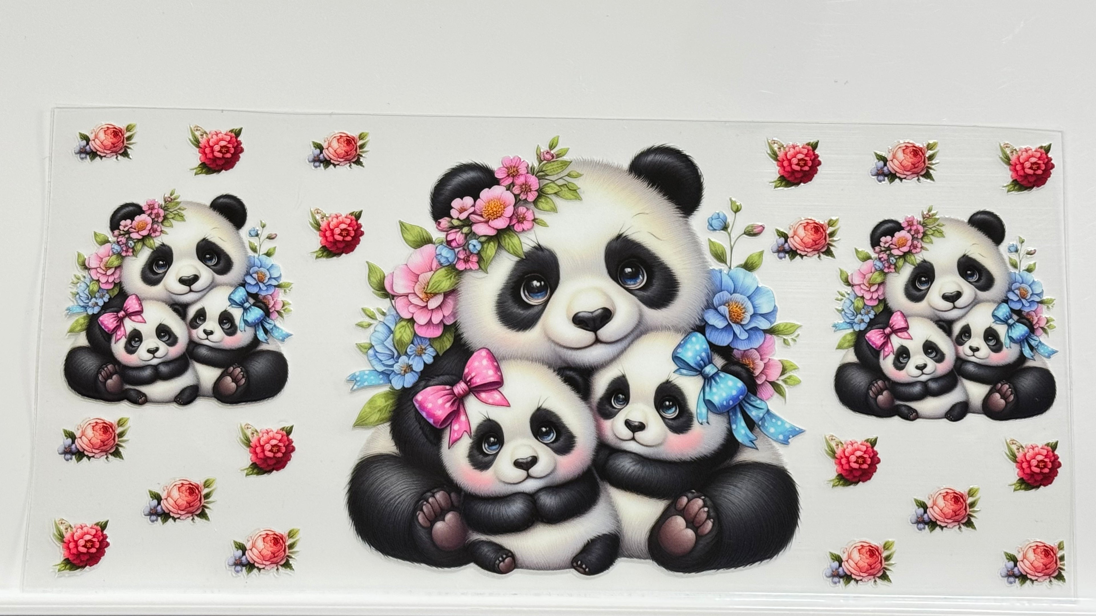 Cute Animals