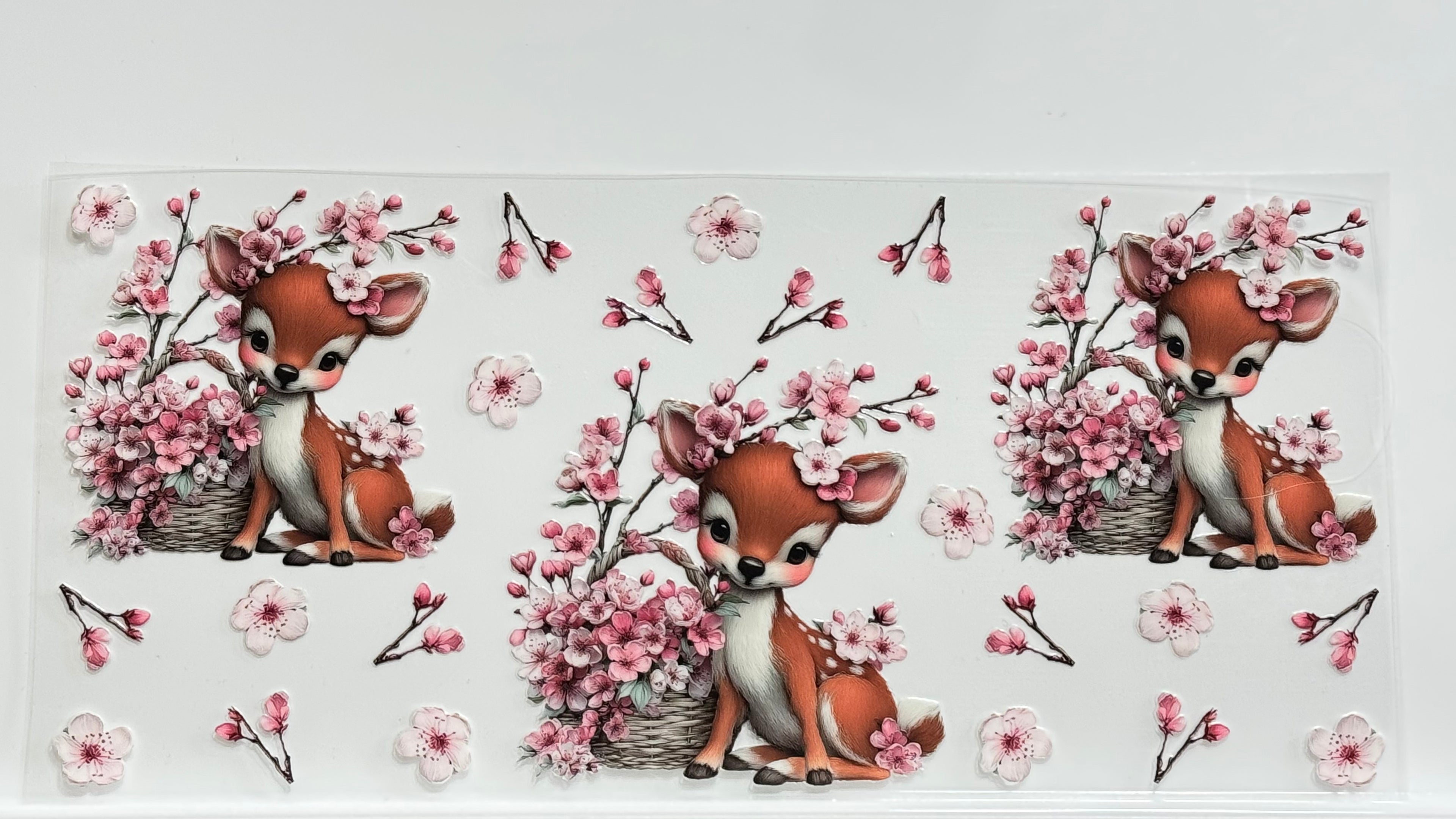 Cute Animals