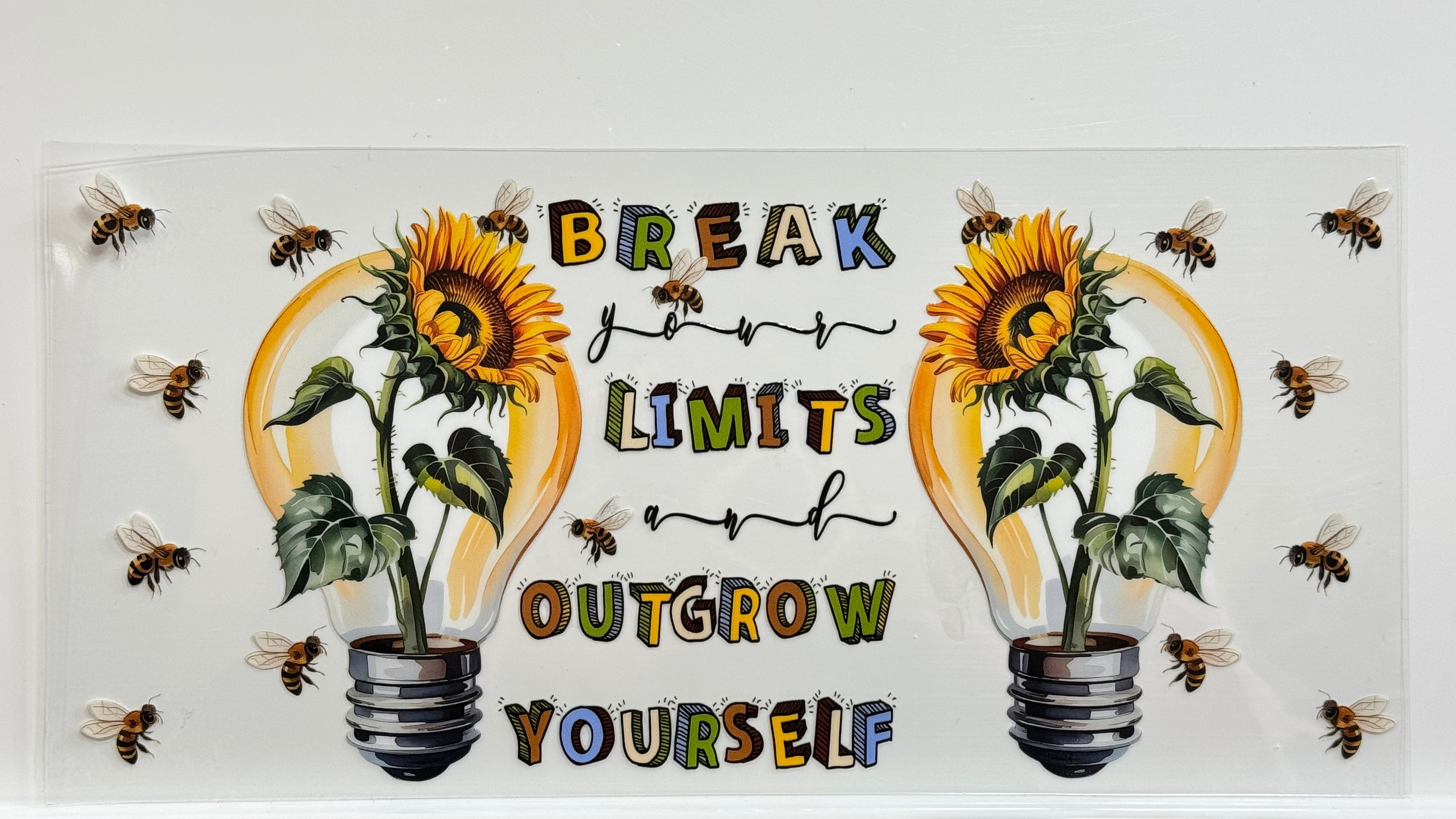 Inspiration & Affirmations
