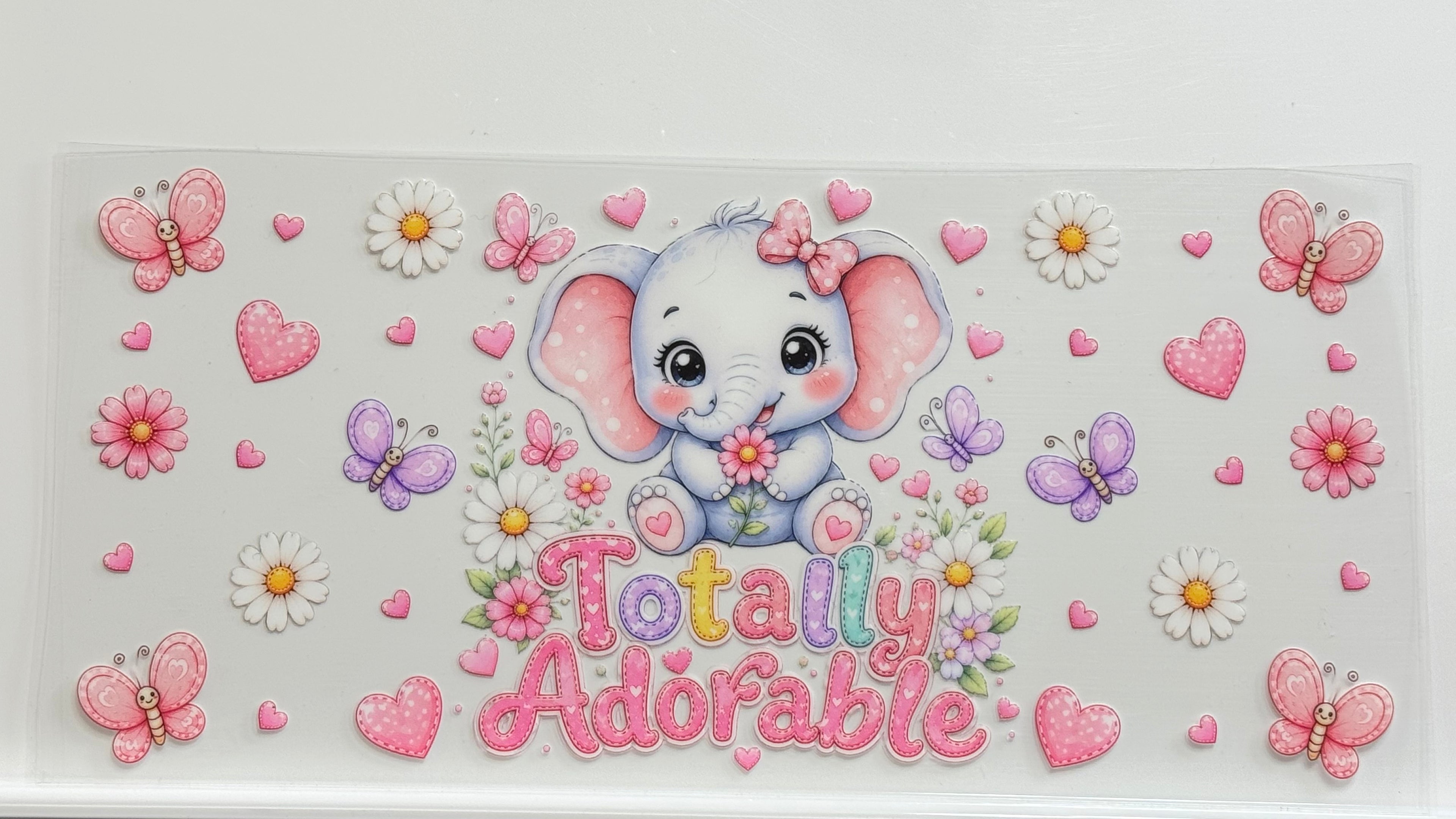 Cute Animals