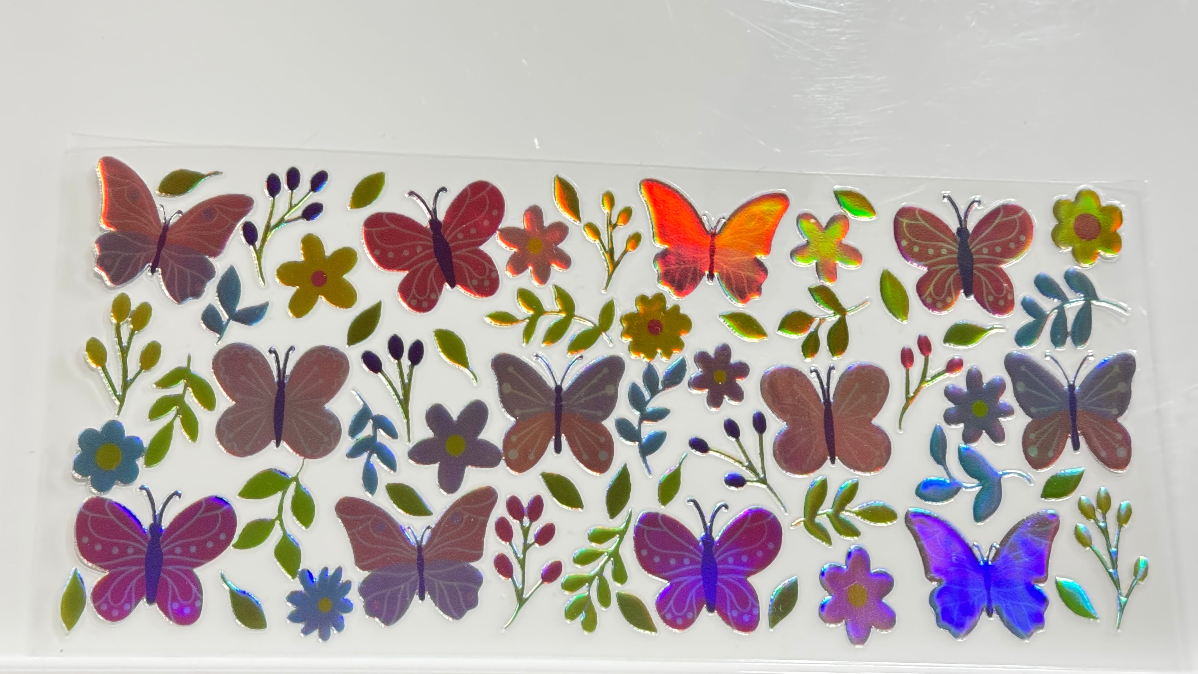 Butterflies & Flowers