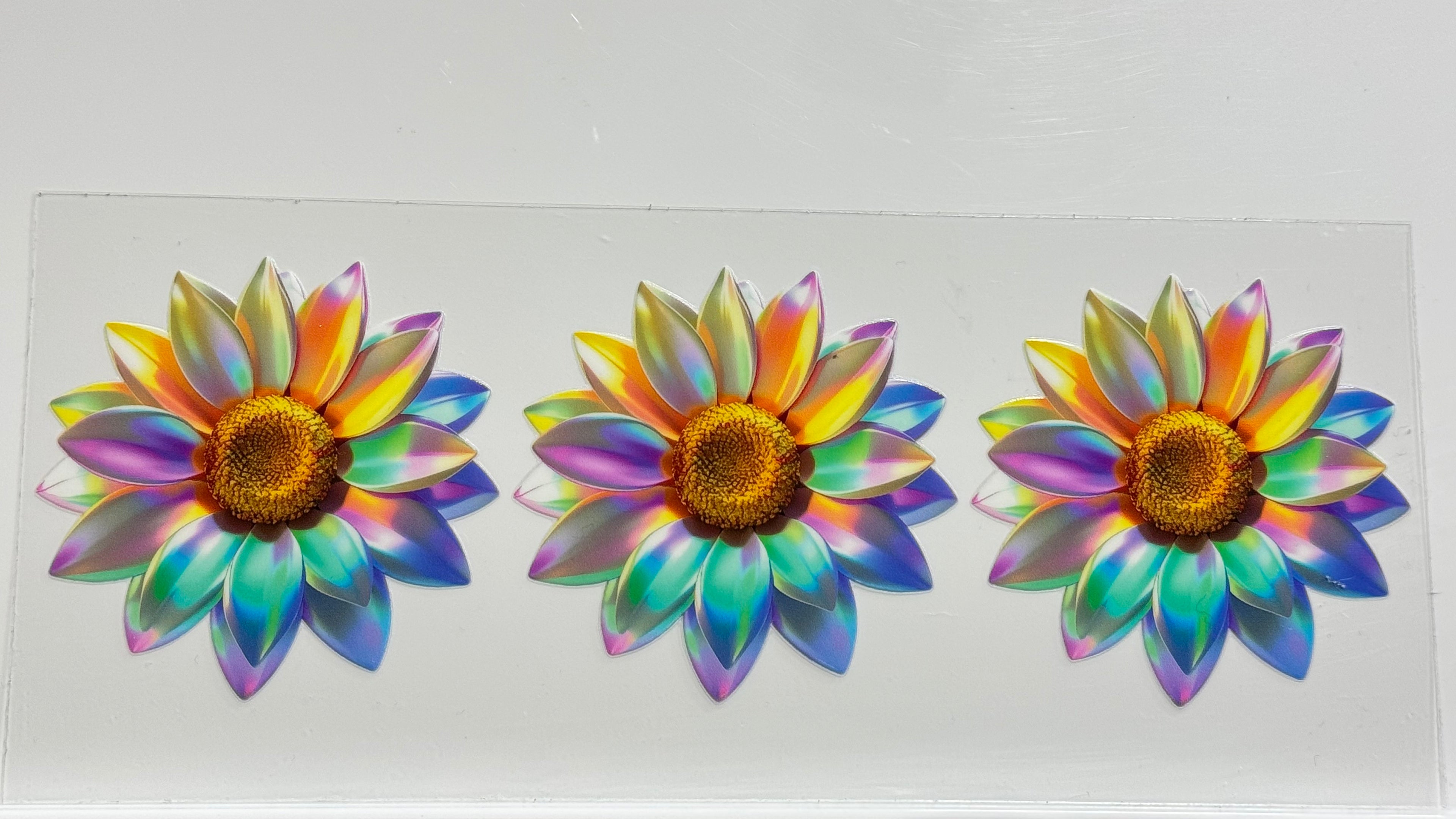 Butterflies & Flowers
