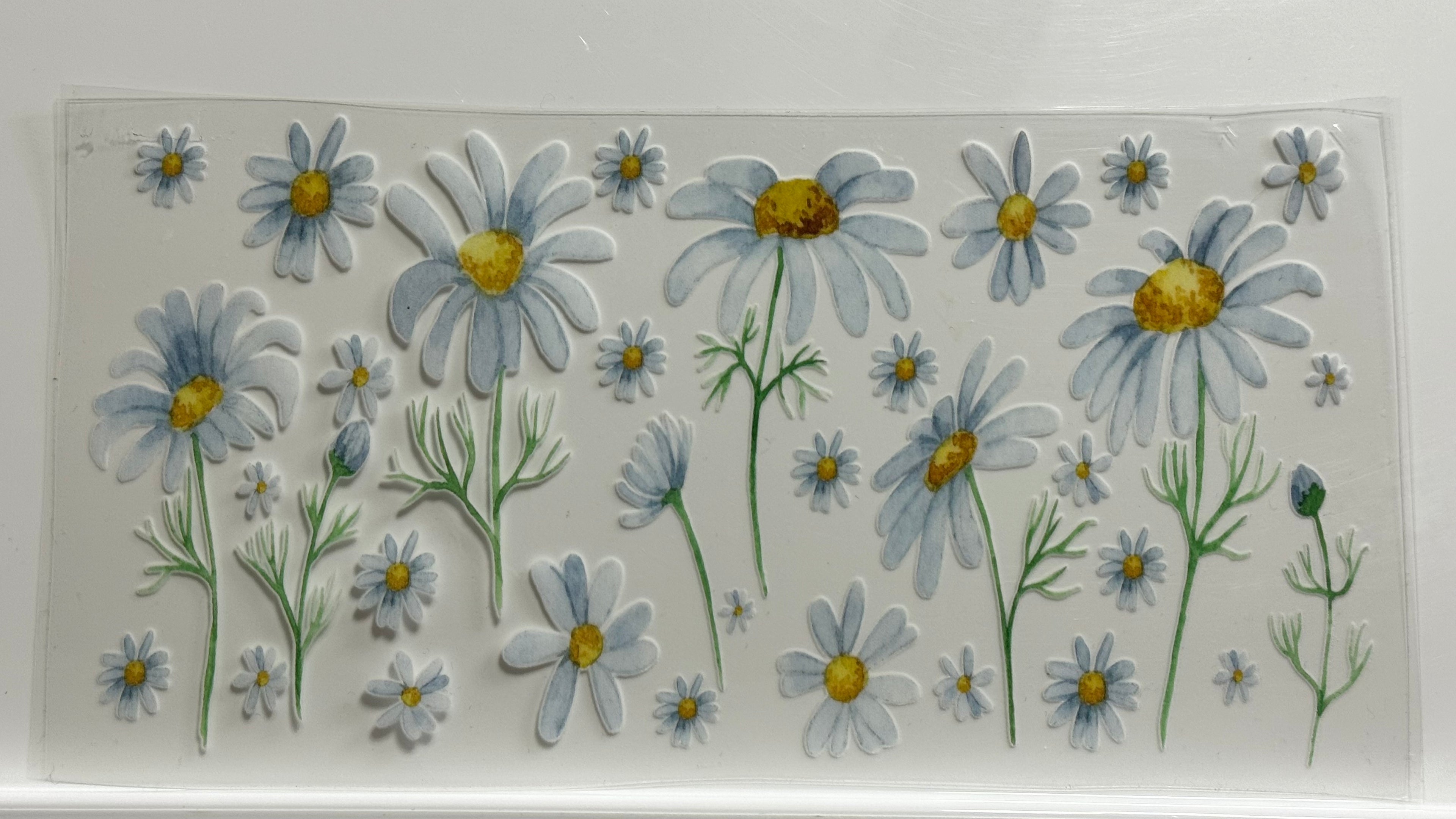 Butterflies & Flowers