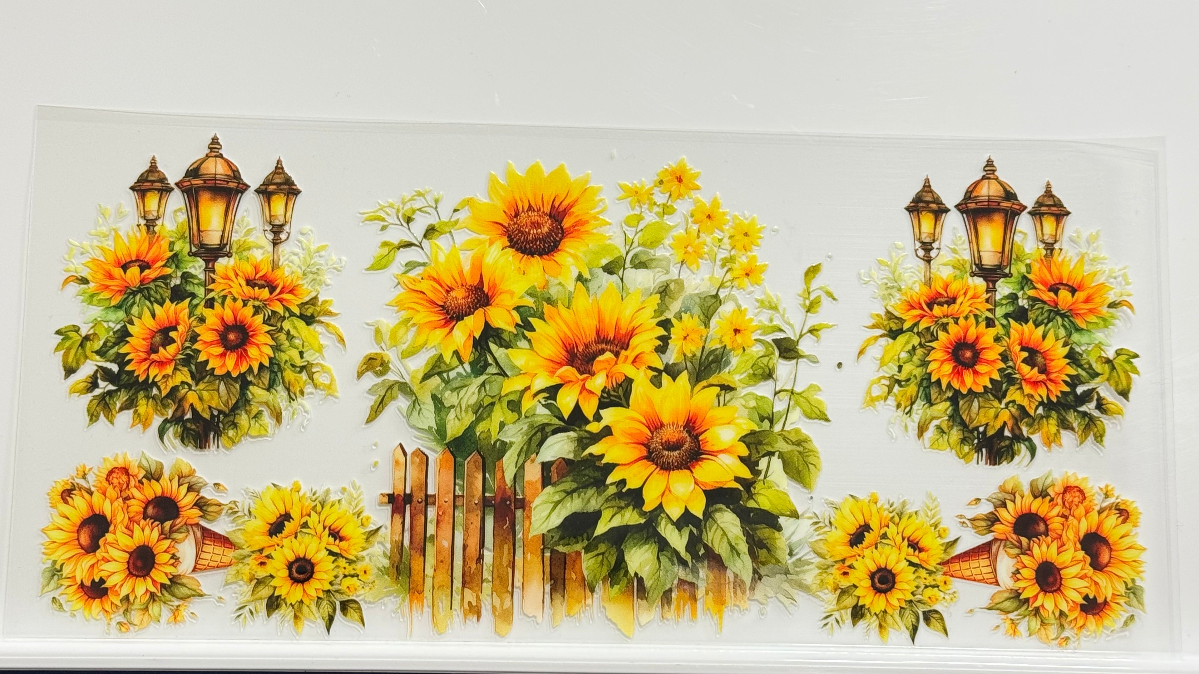Butterflies & Flowers