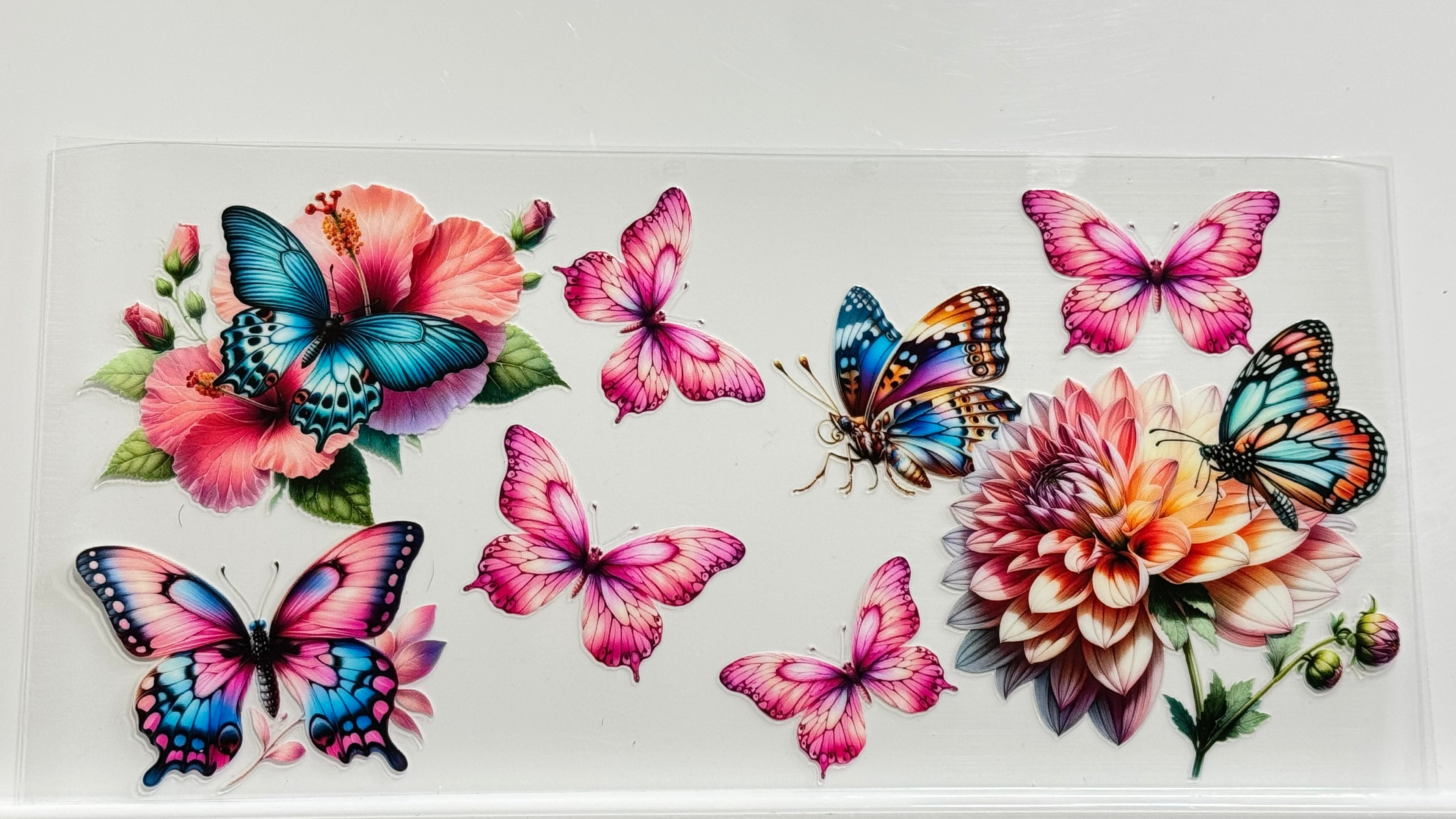 Butterflies & Flowers