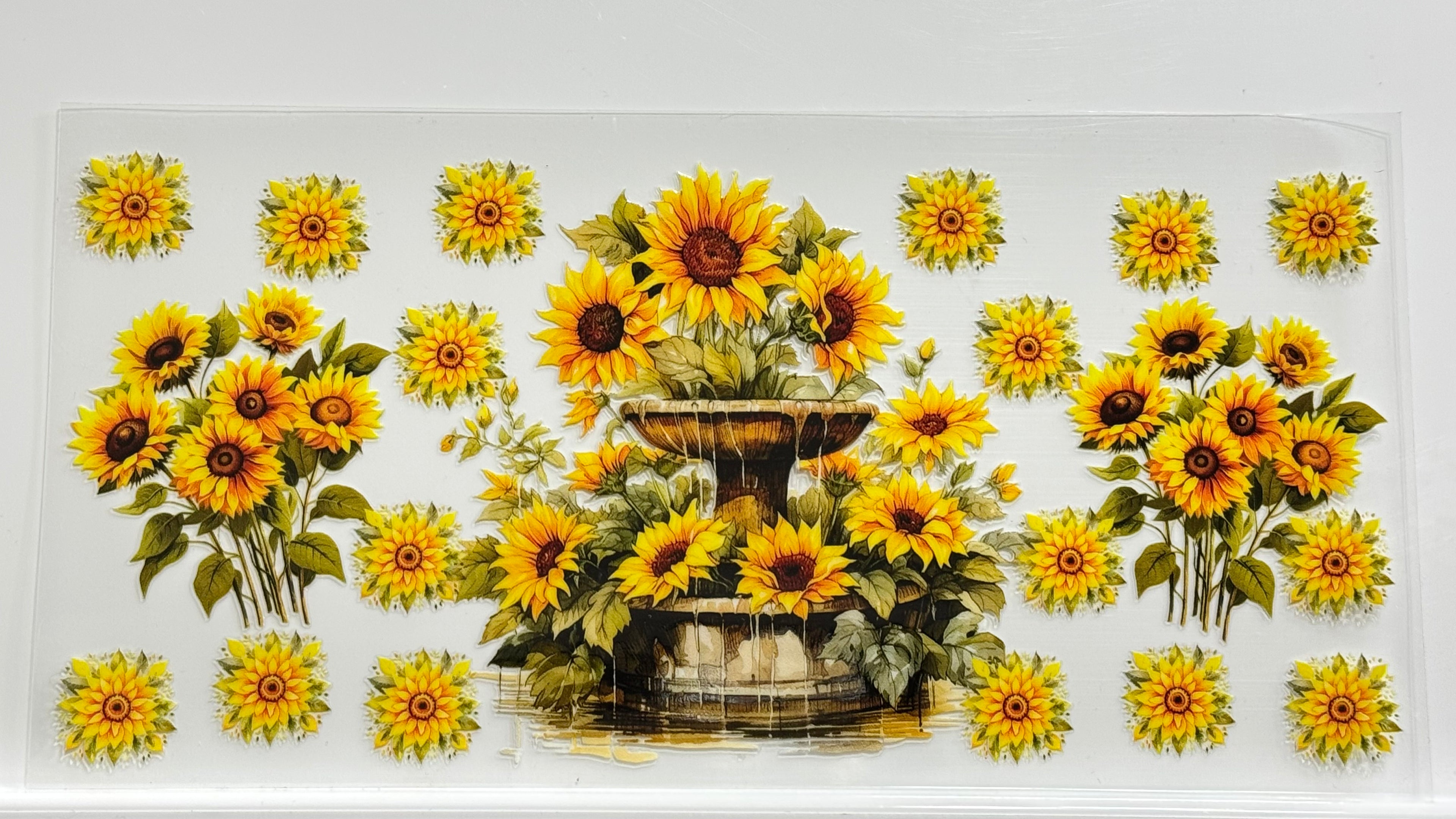 Butterflies & Flowers
