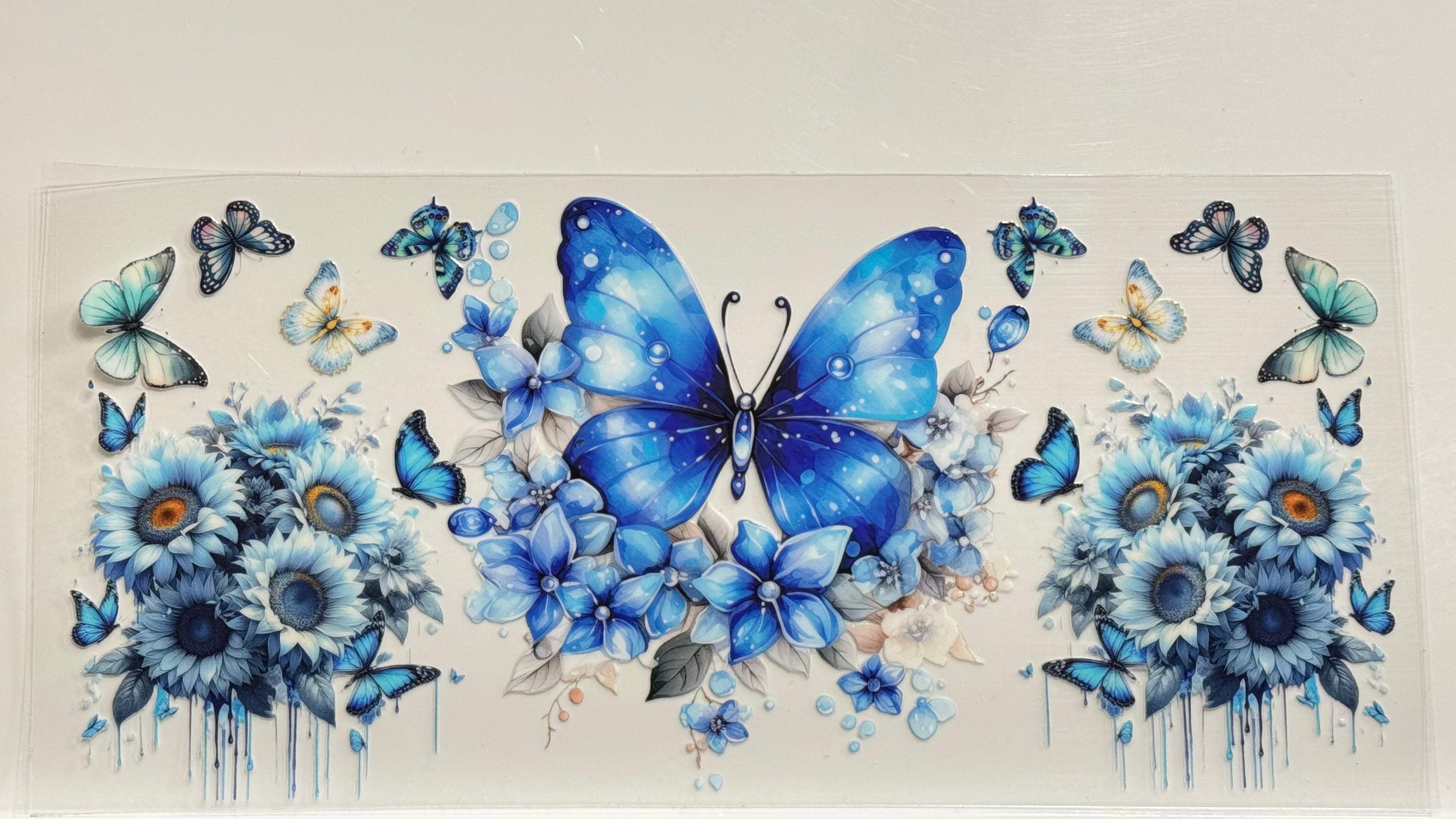 Butterflies & Flowers