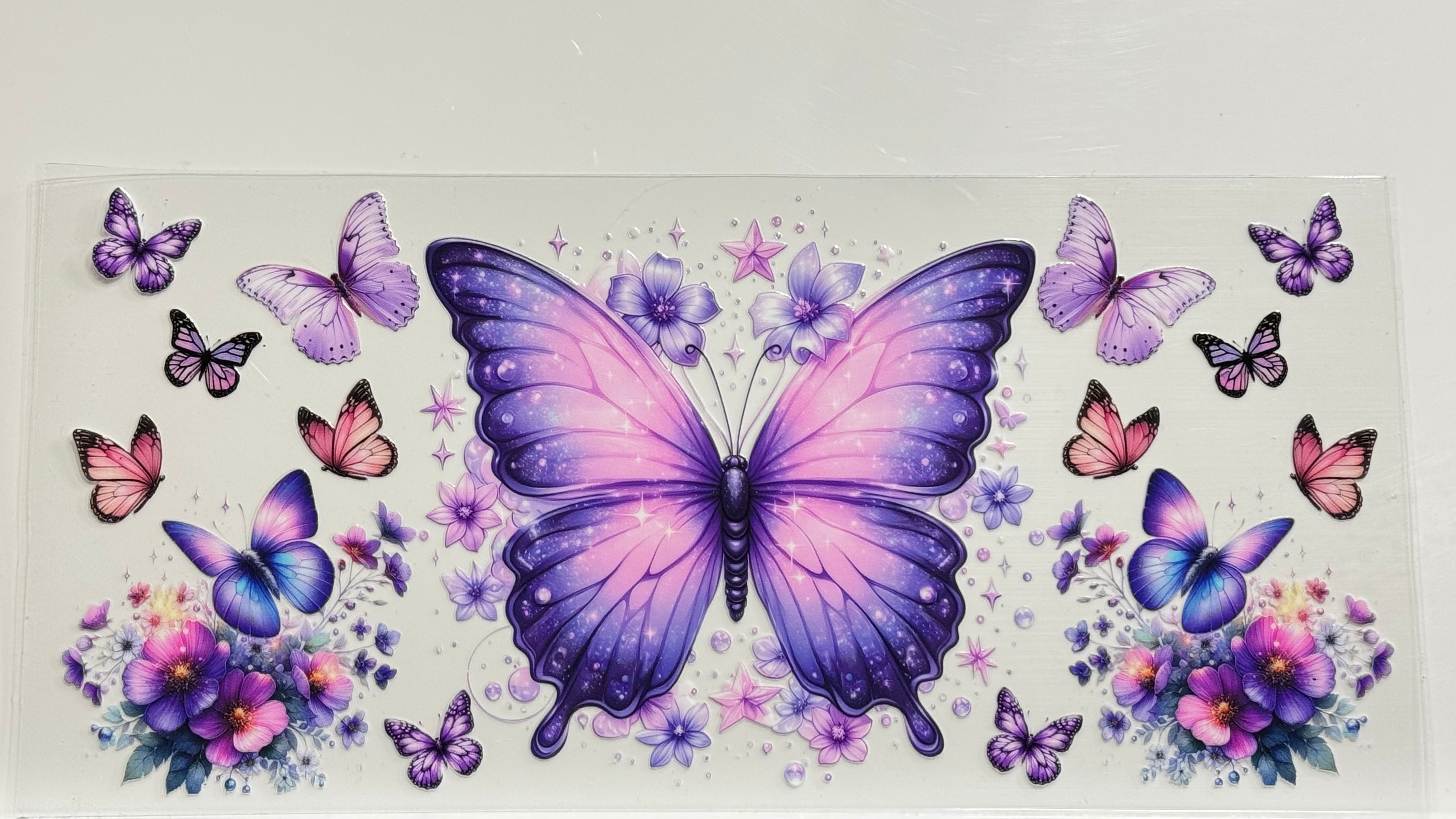 Butterflies & Flowers