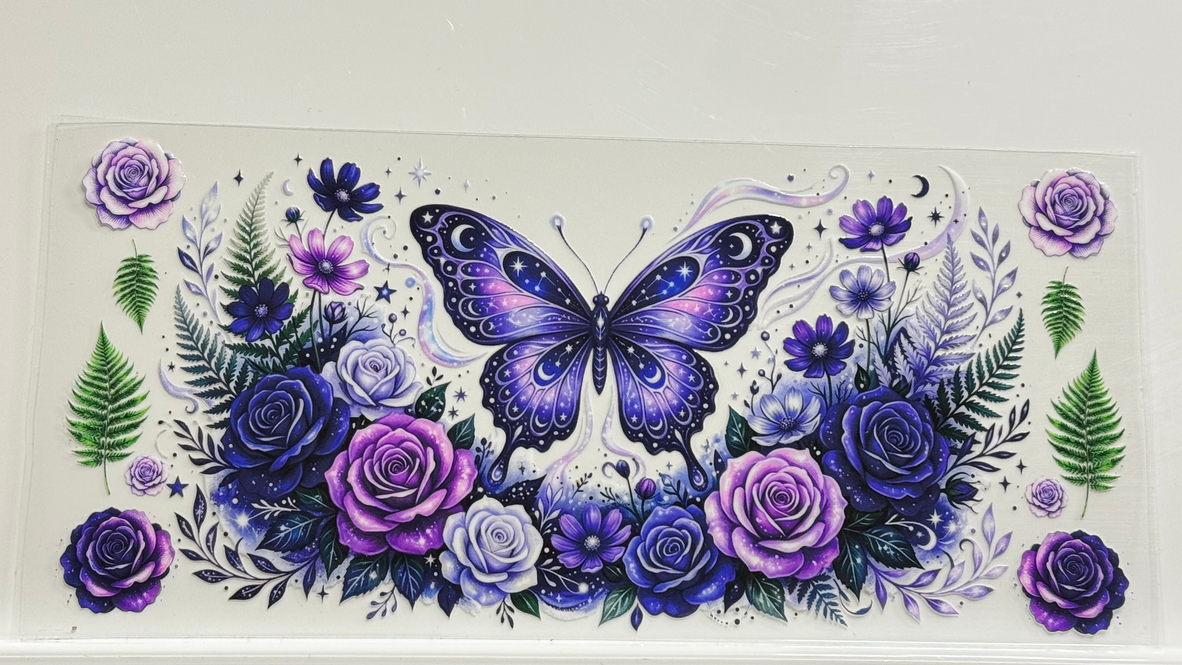 Butterflies & Flowers