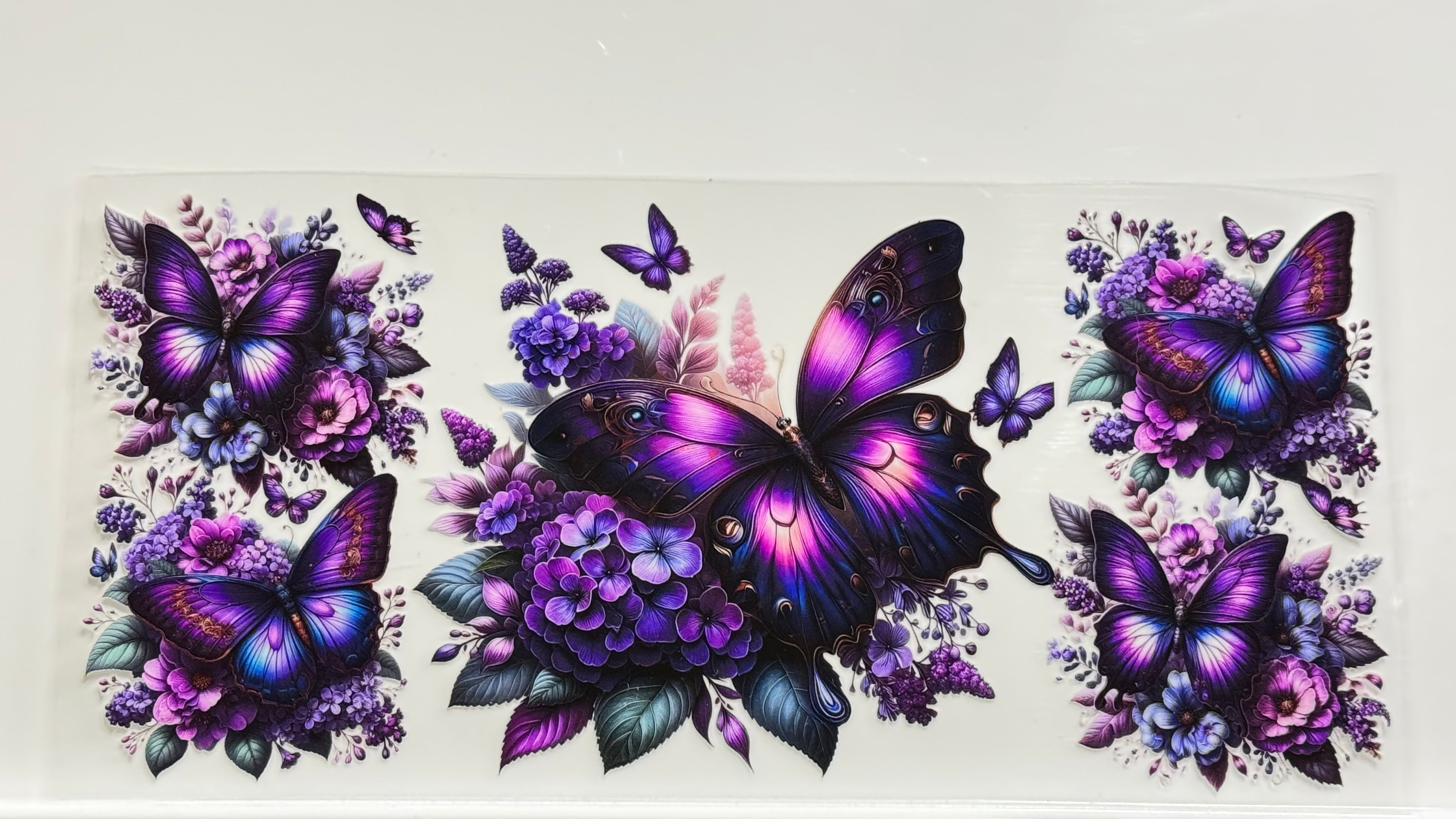 Butterflies & Flowers