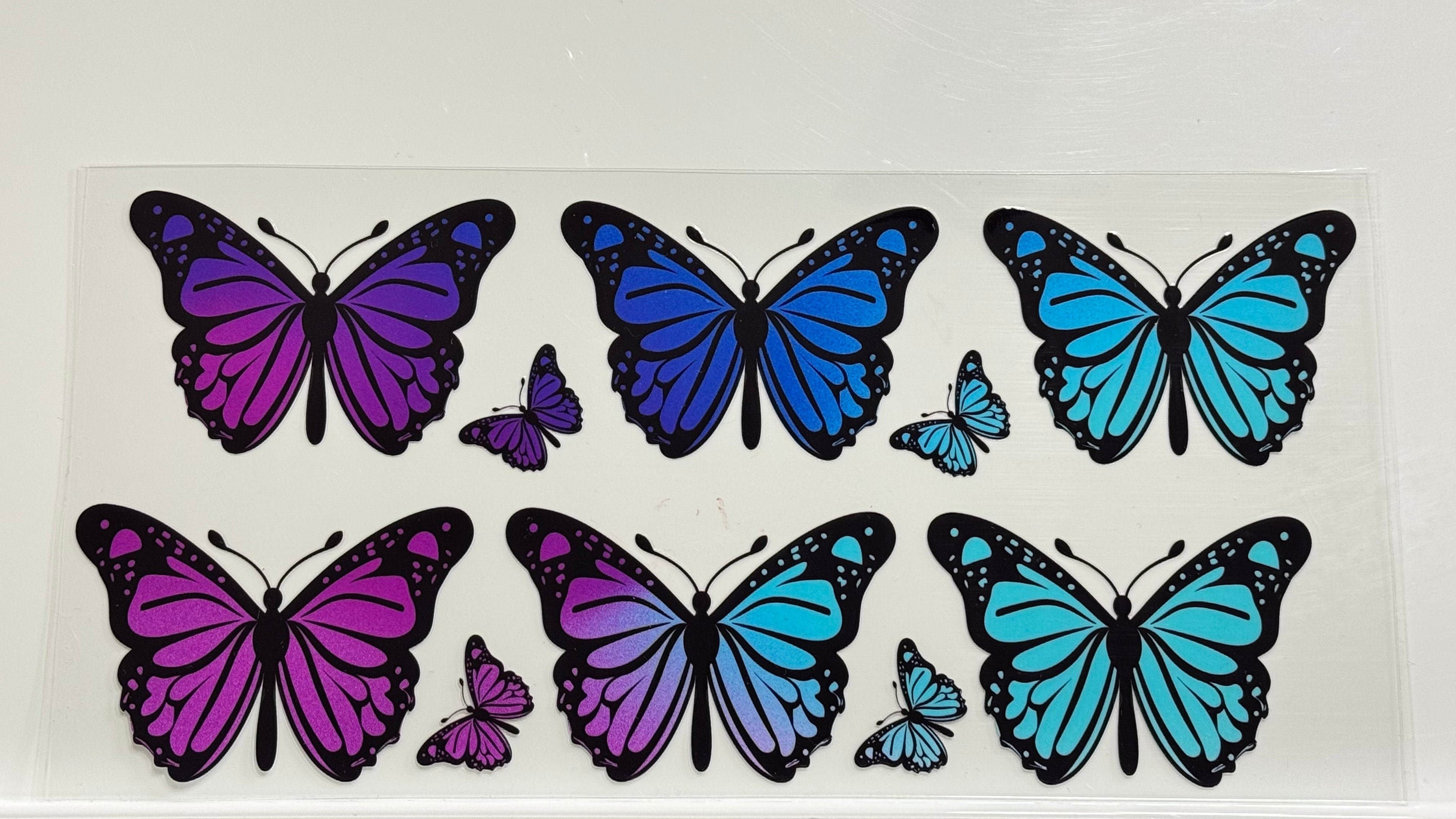 Butterflies & Flowers
