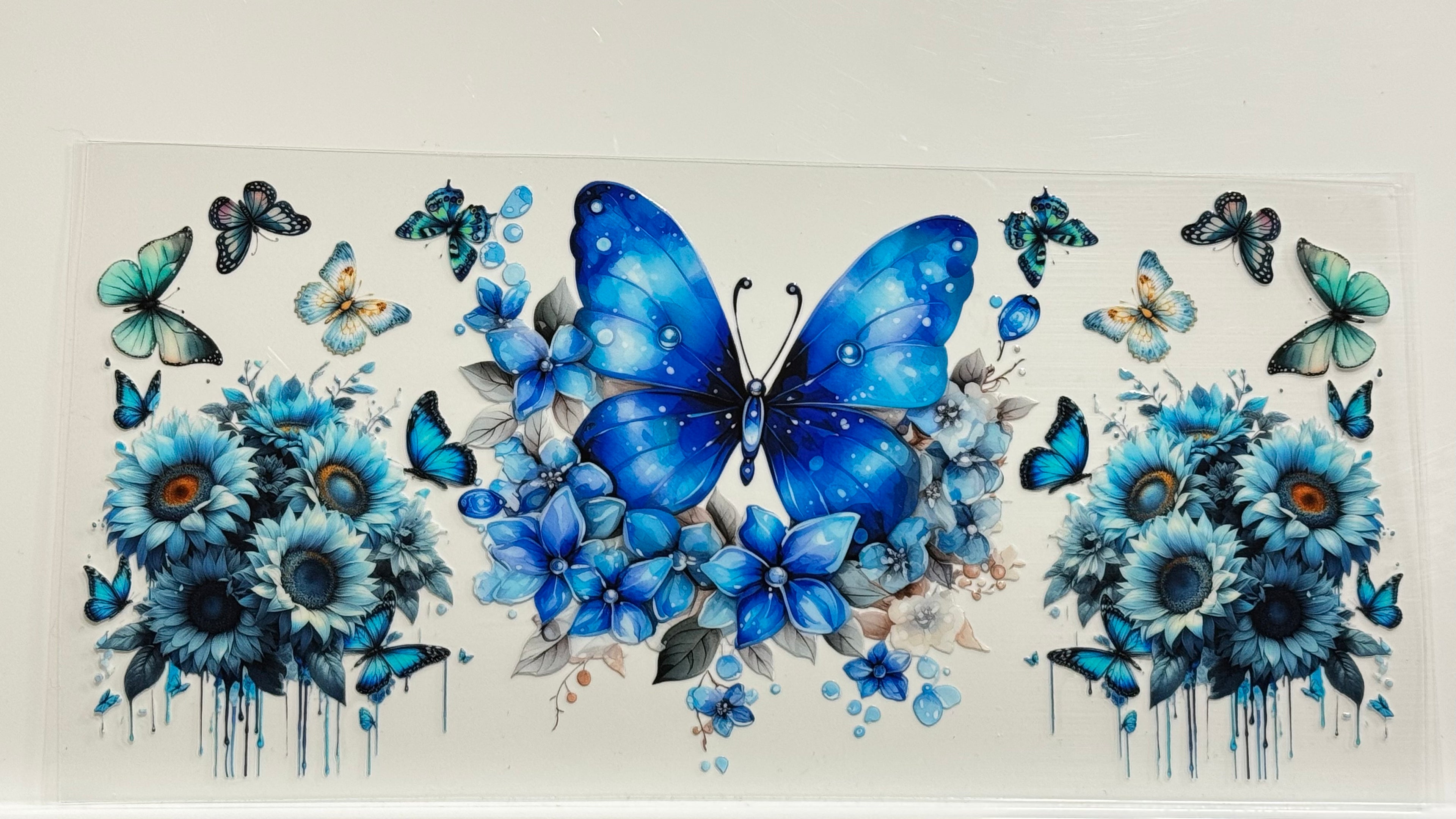 Butterflies & Flowers
