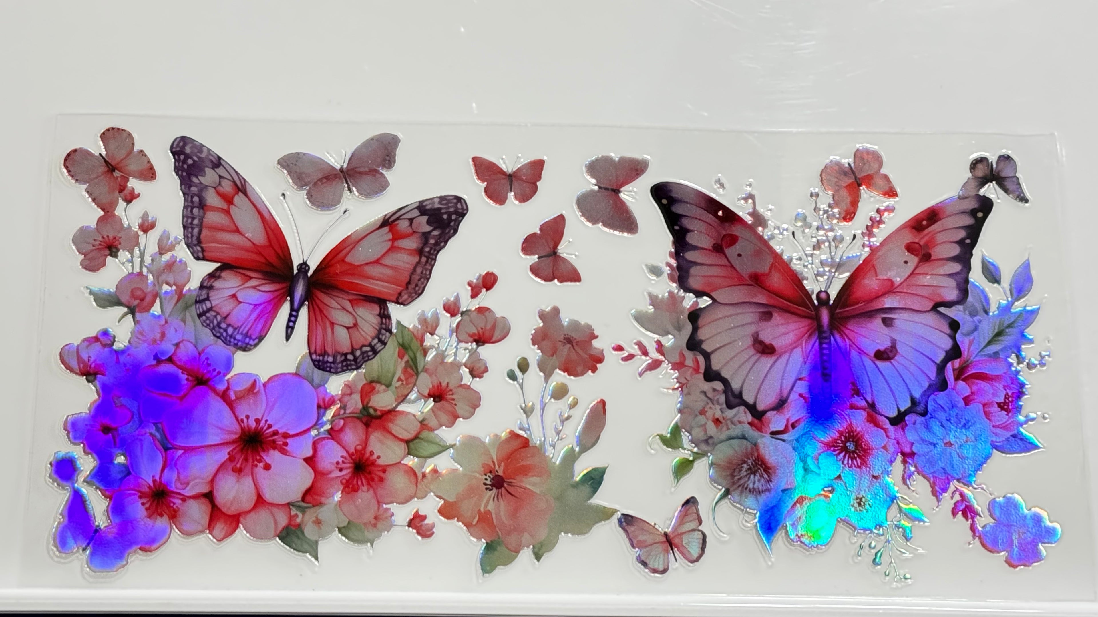 Butterflies & Flowers