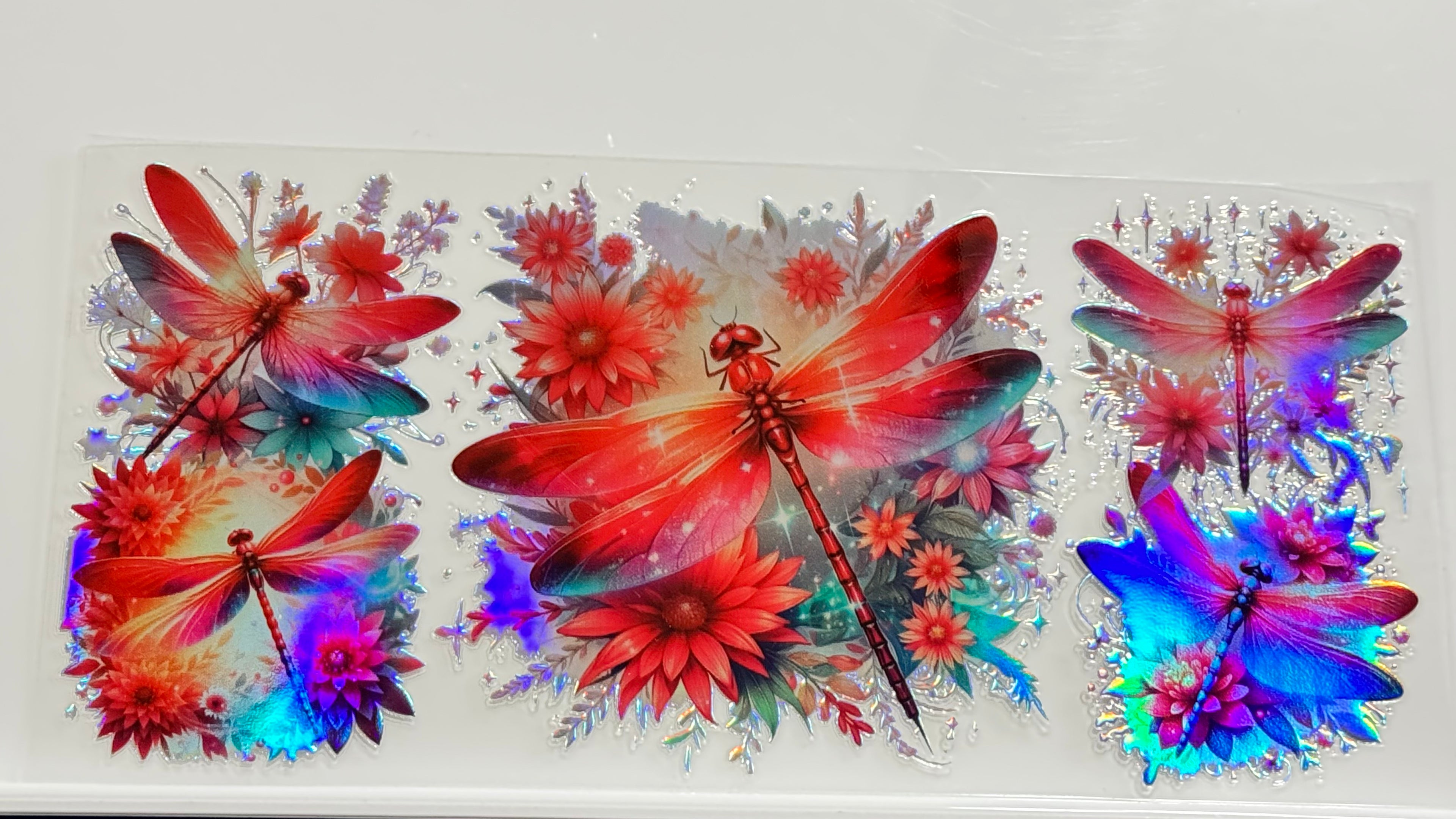 Butterflies & Flowers