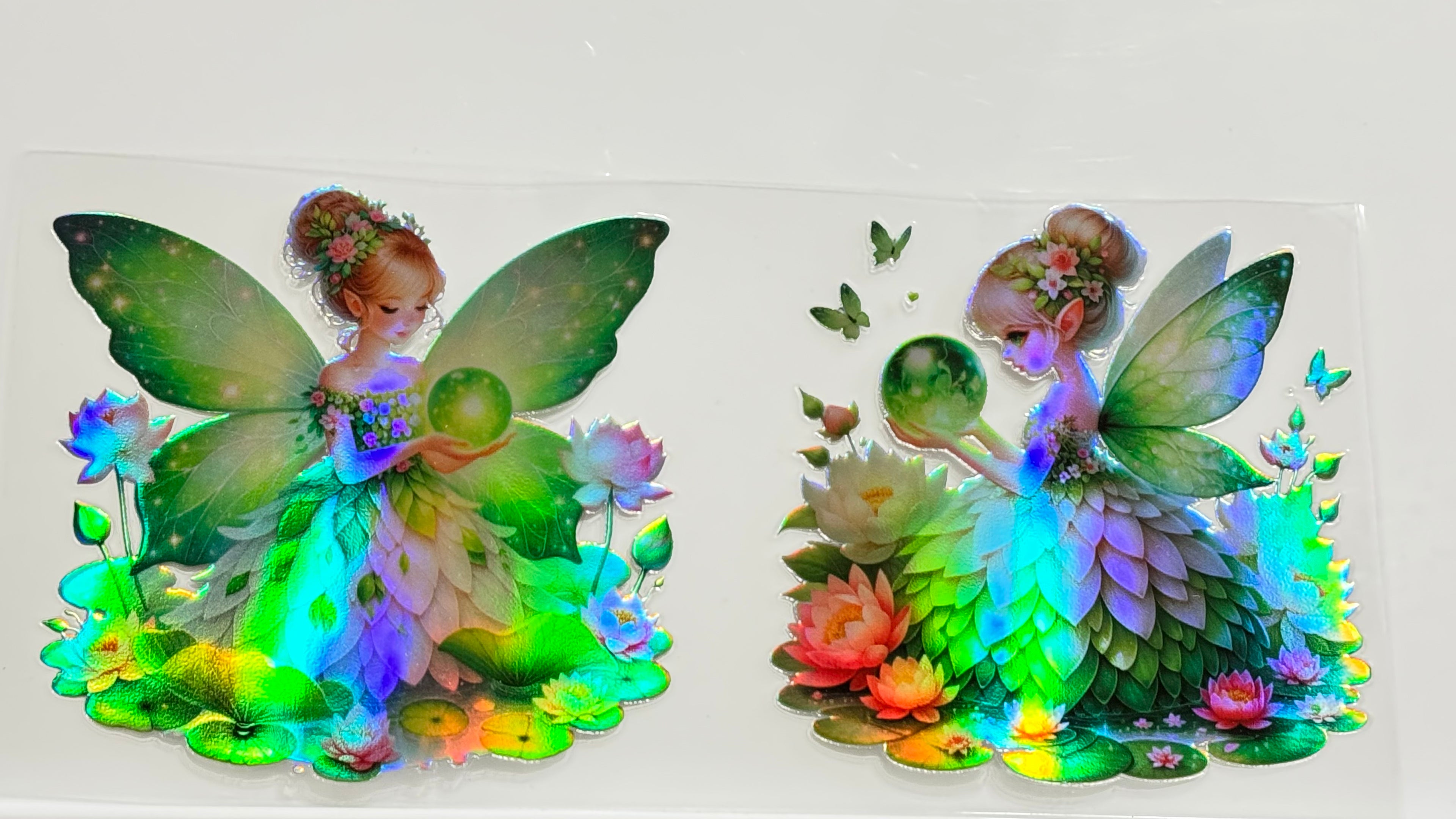 Butterflies & Flowers