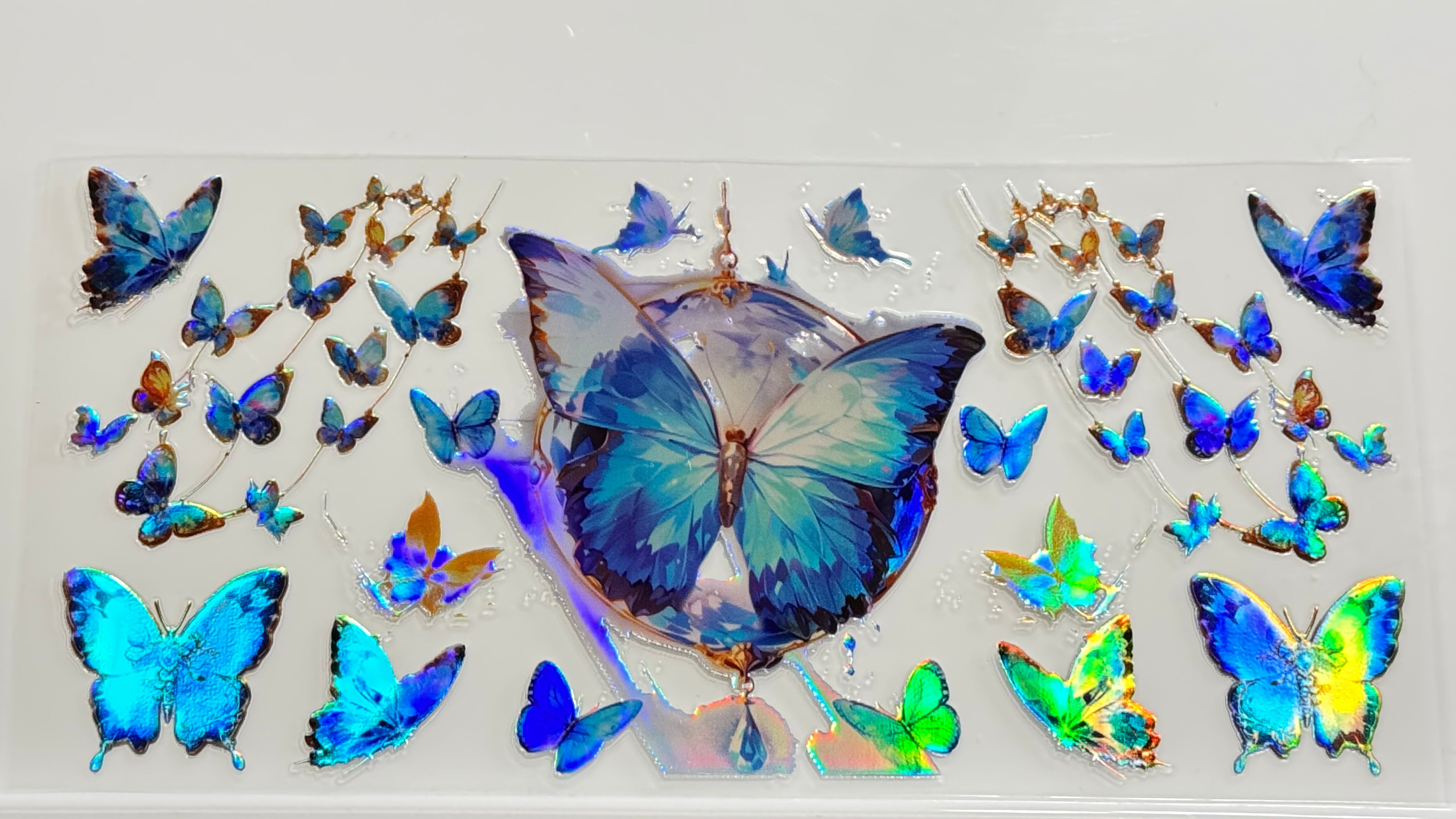 Butterflies & Flowers