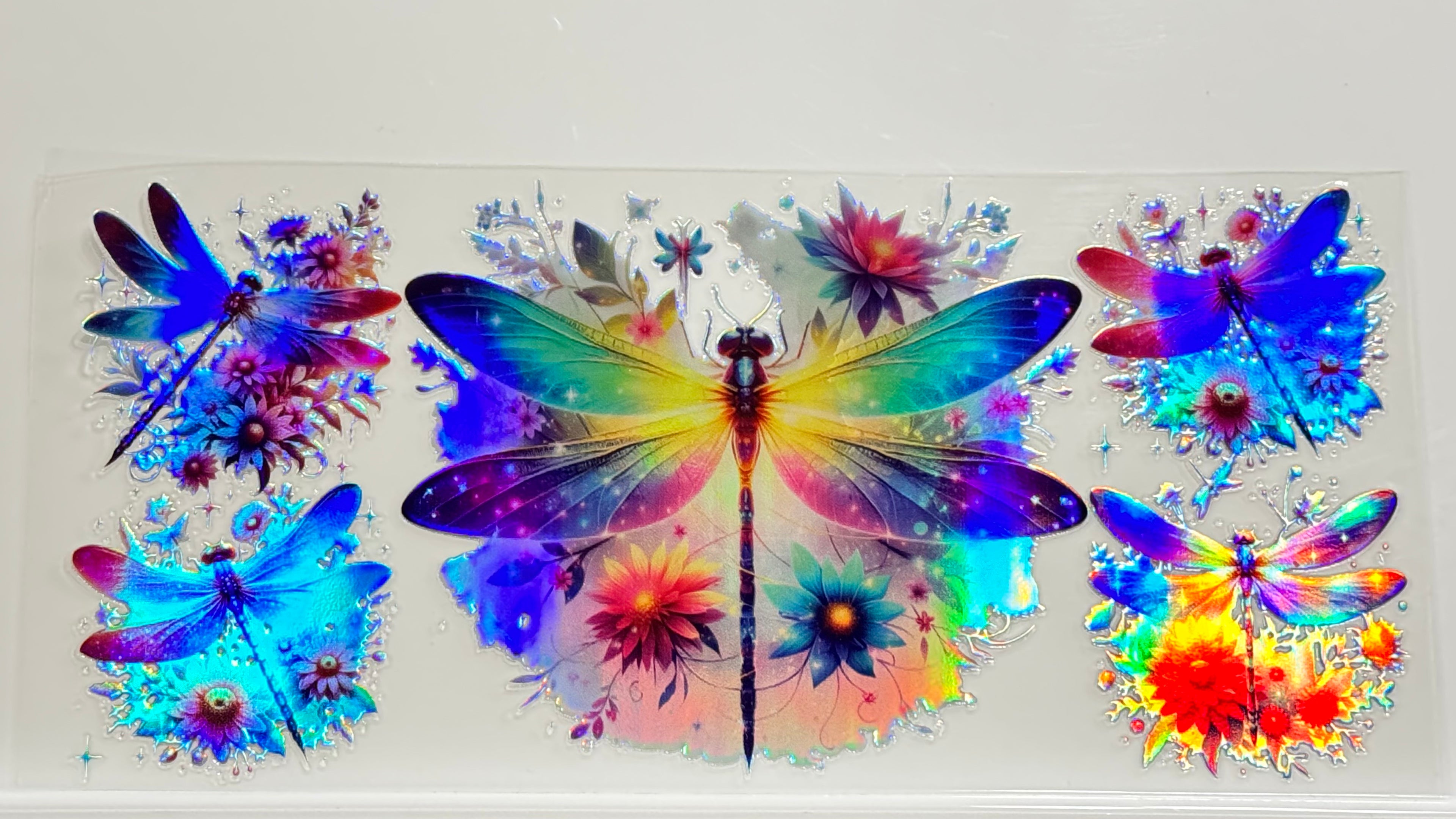 Butterflies & Flowers