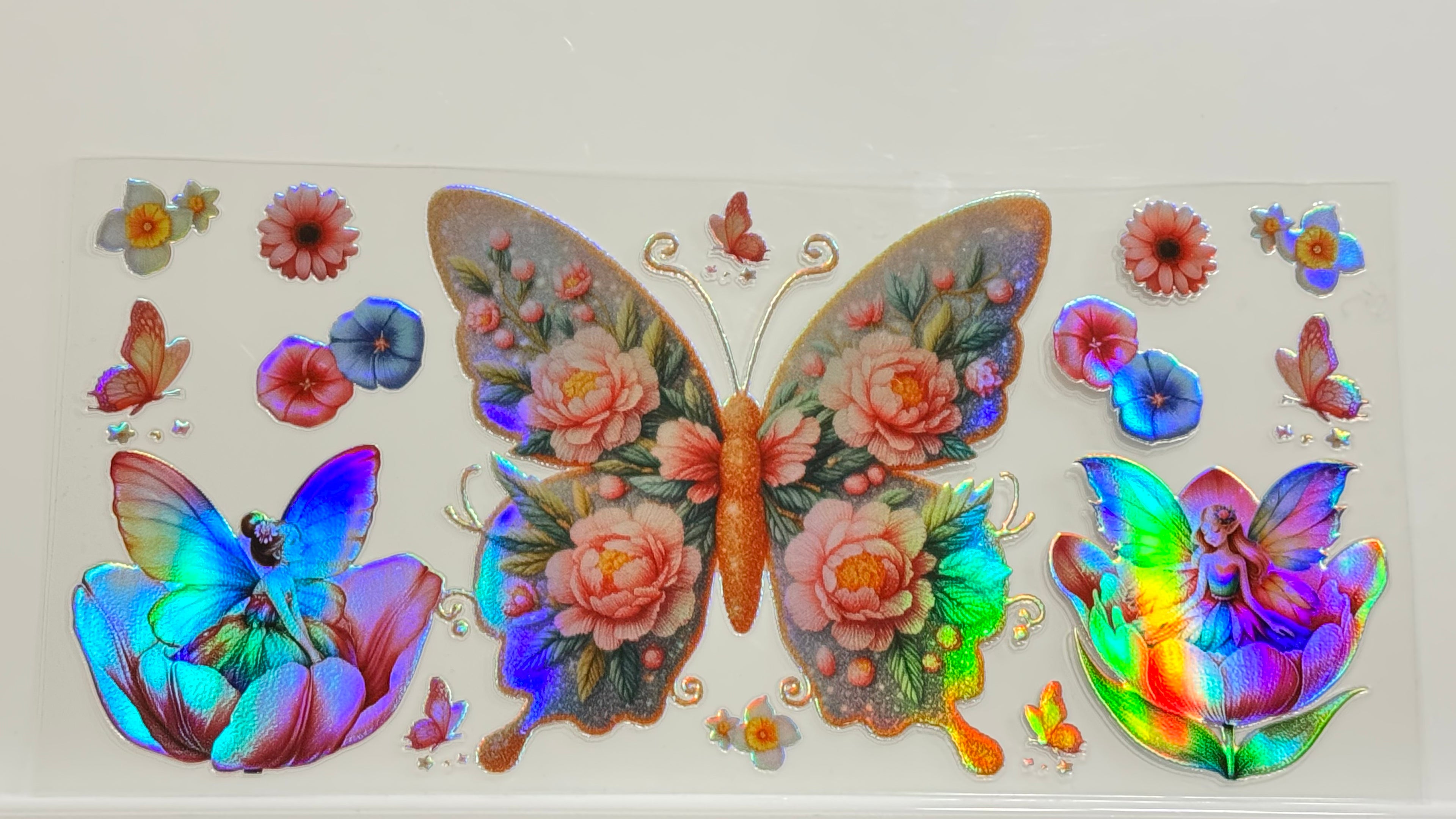 Butterflies & Flowers