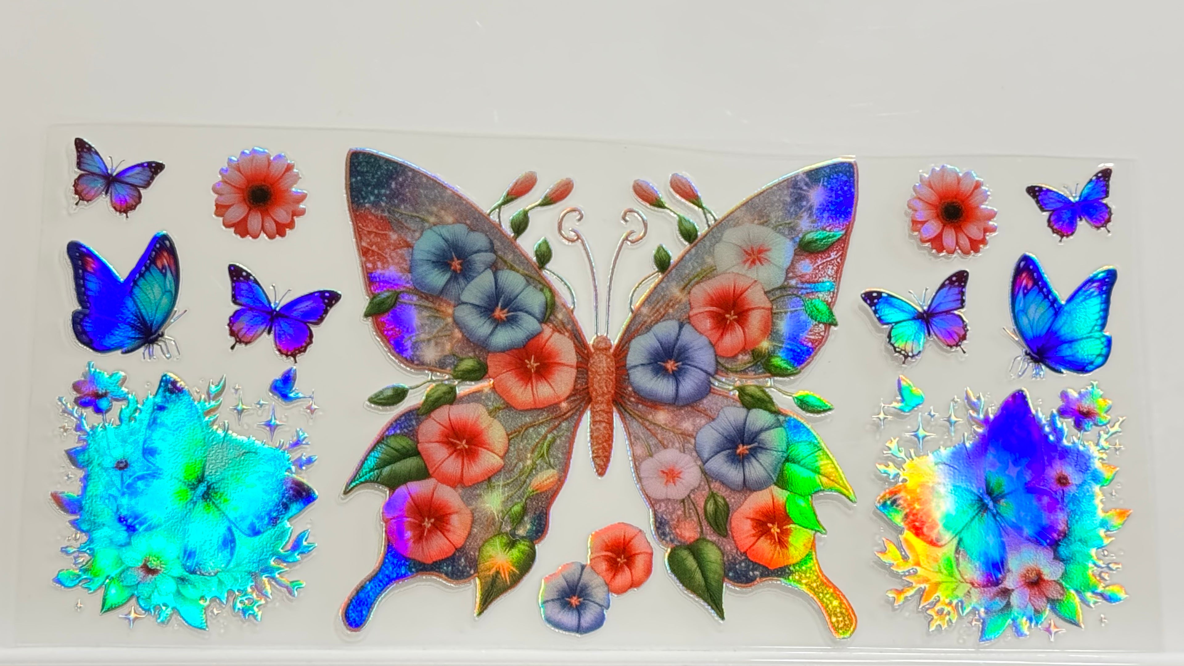 Butterflies & Flowers