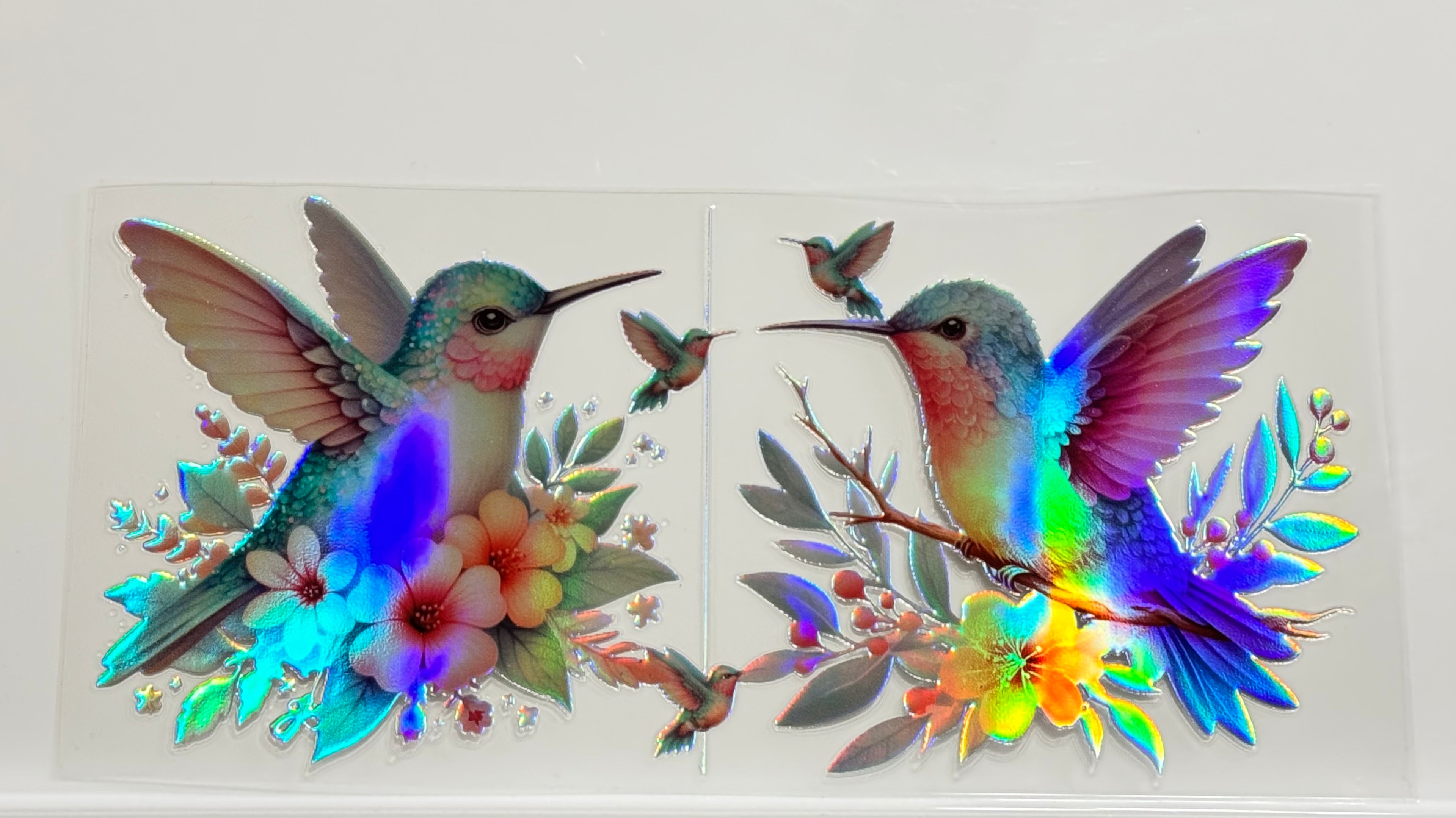 Butterflies & Flowers