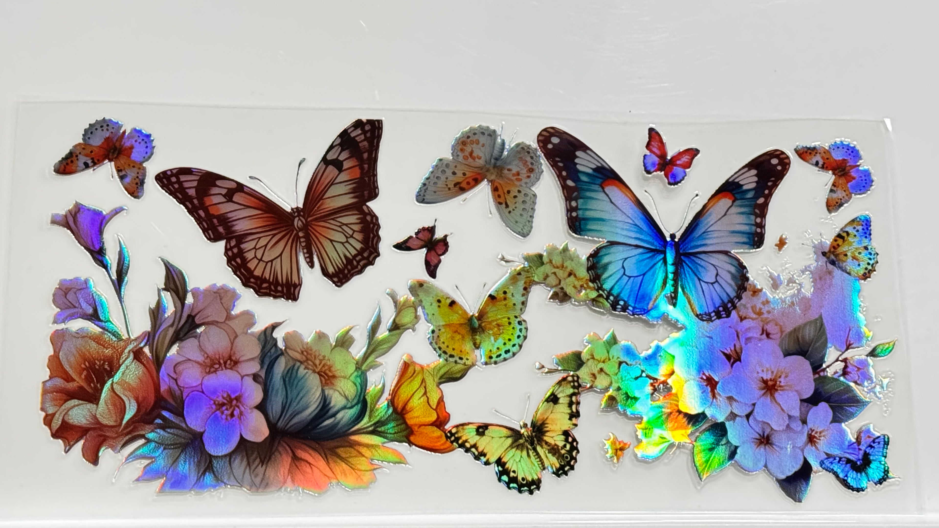 Butterflies & Flowers