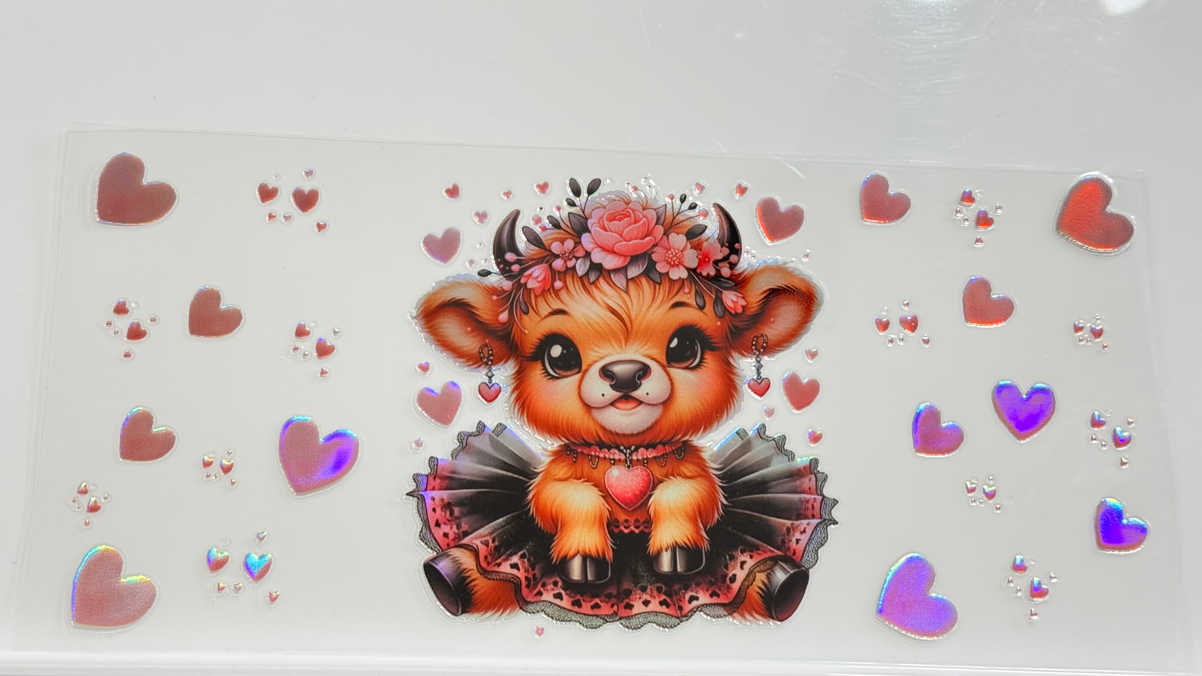 Highland Cows