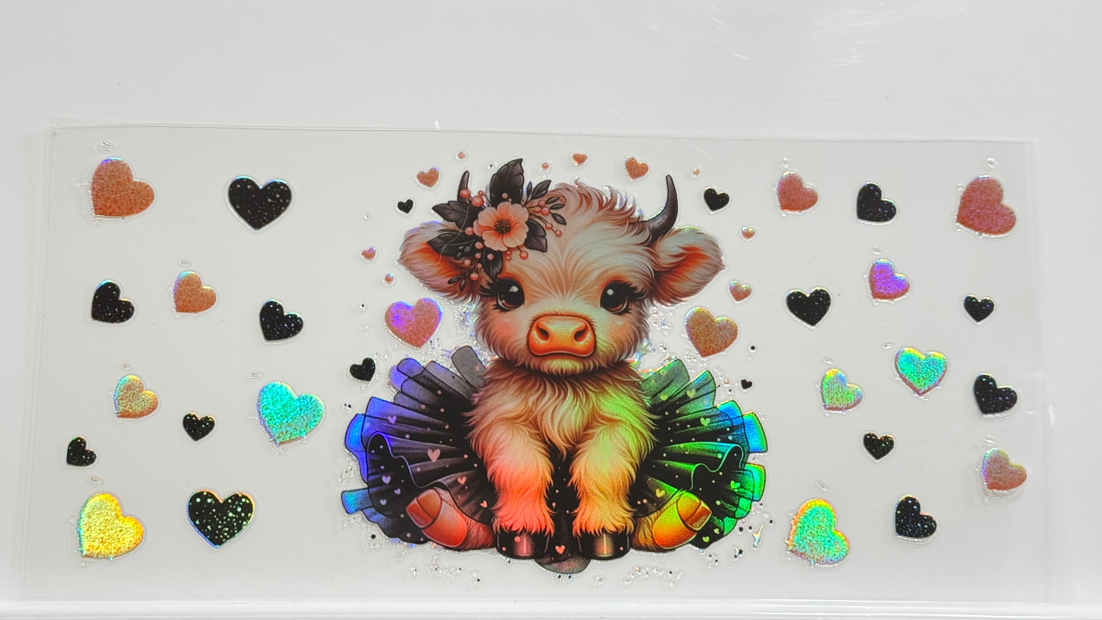 Highland Cows