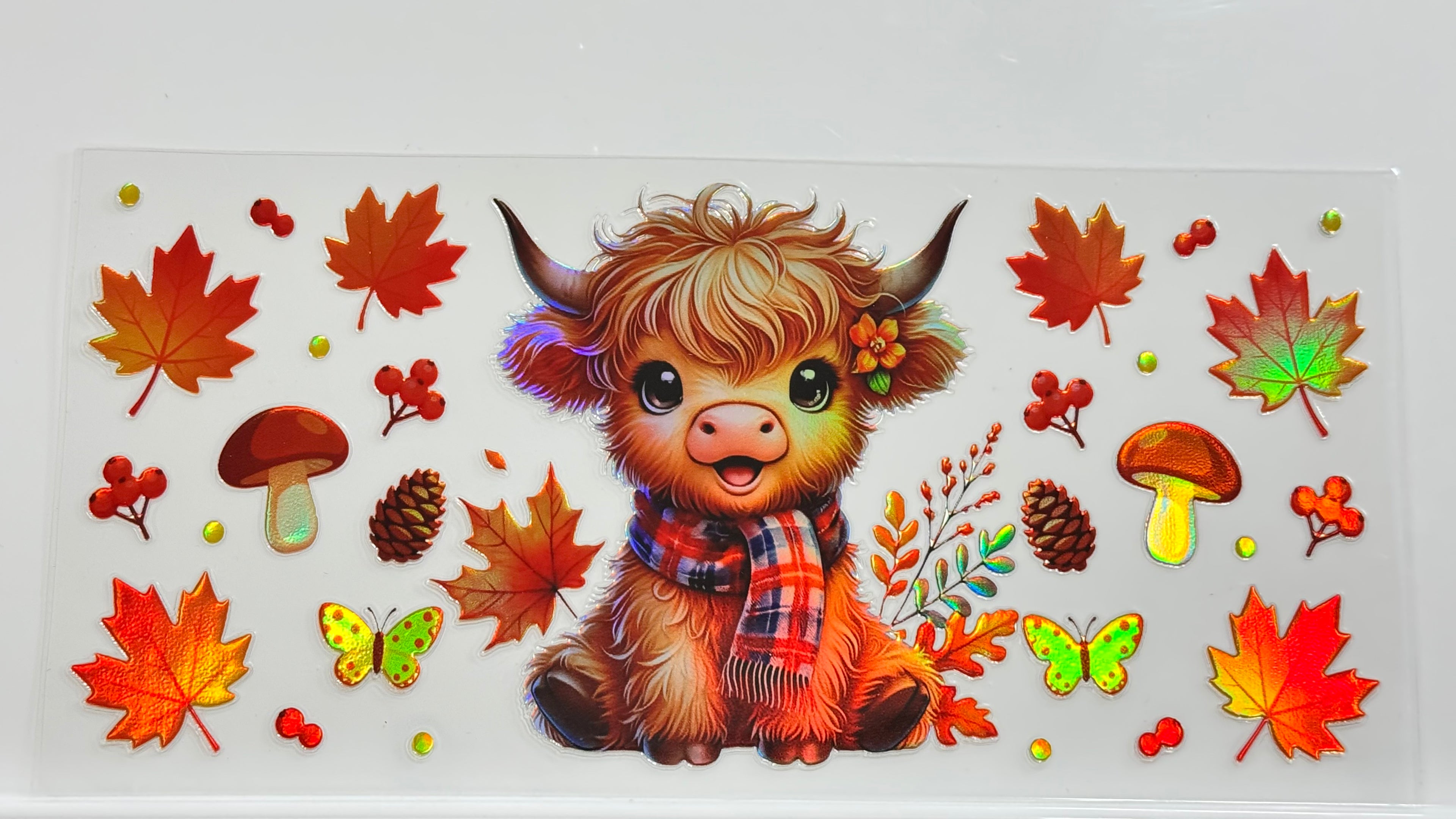 Highland Cows
