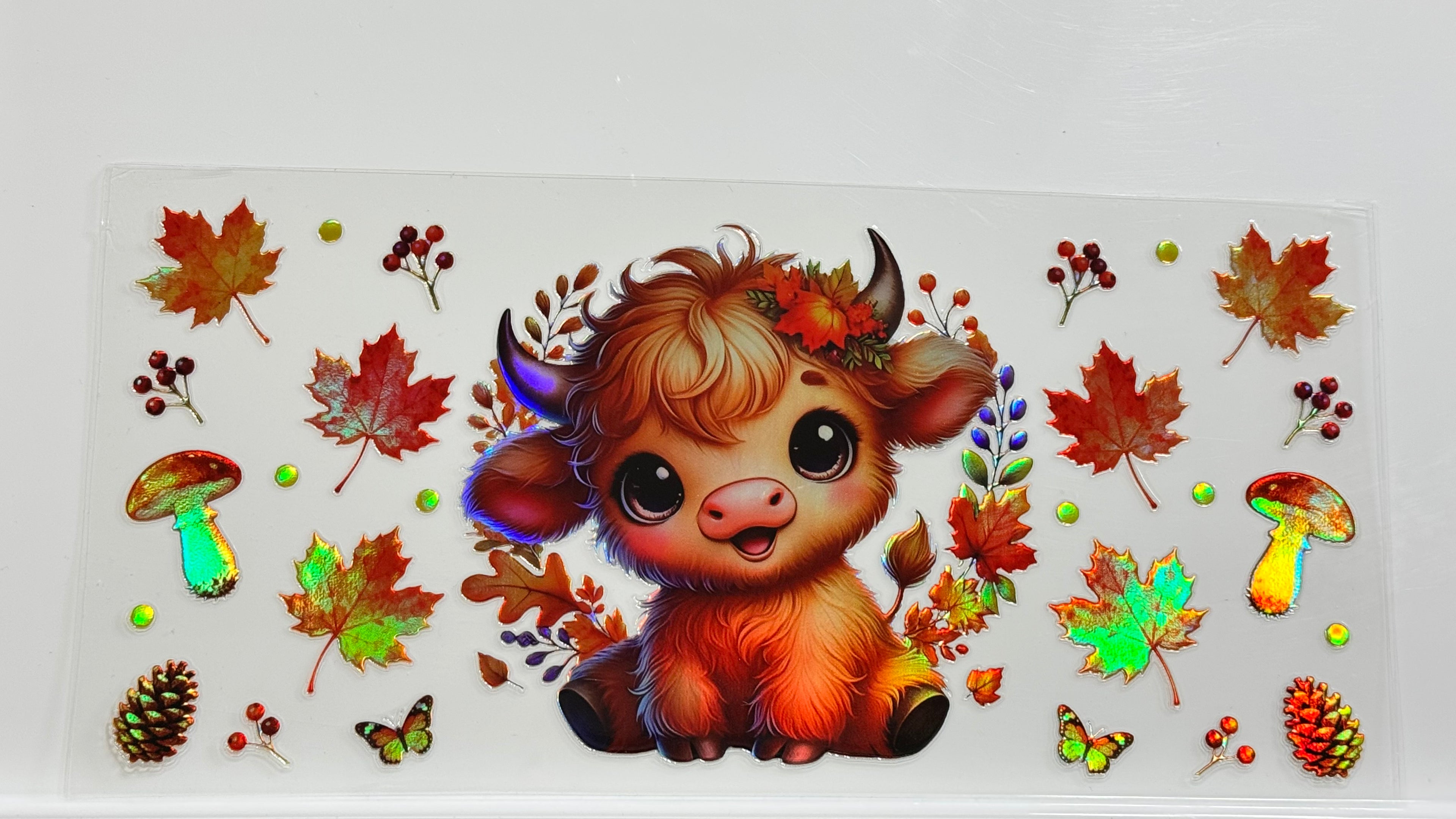 Highland Cows
