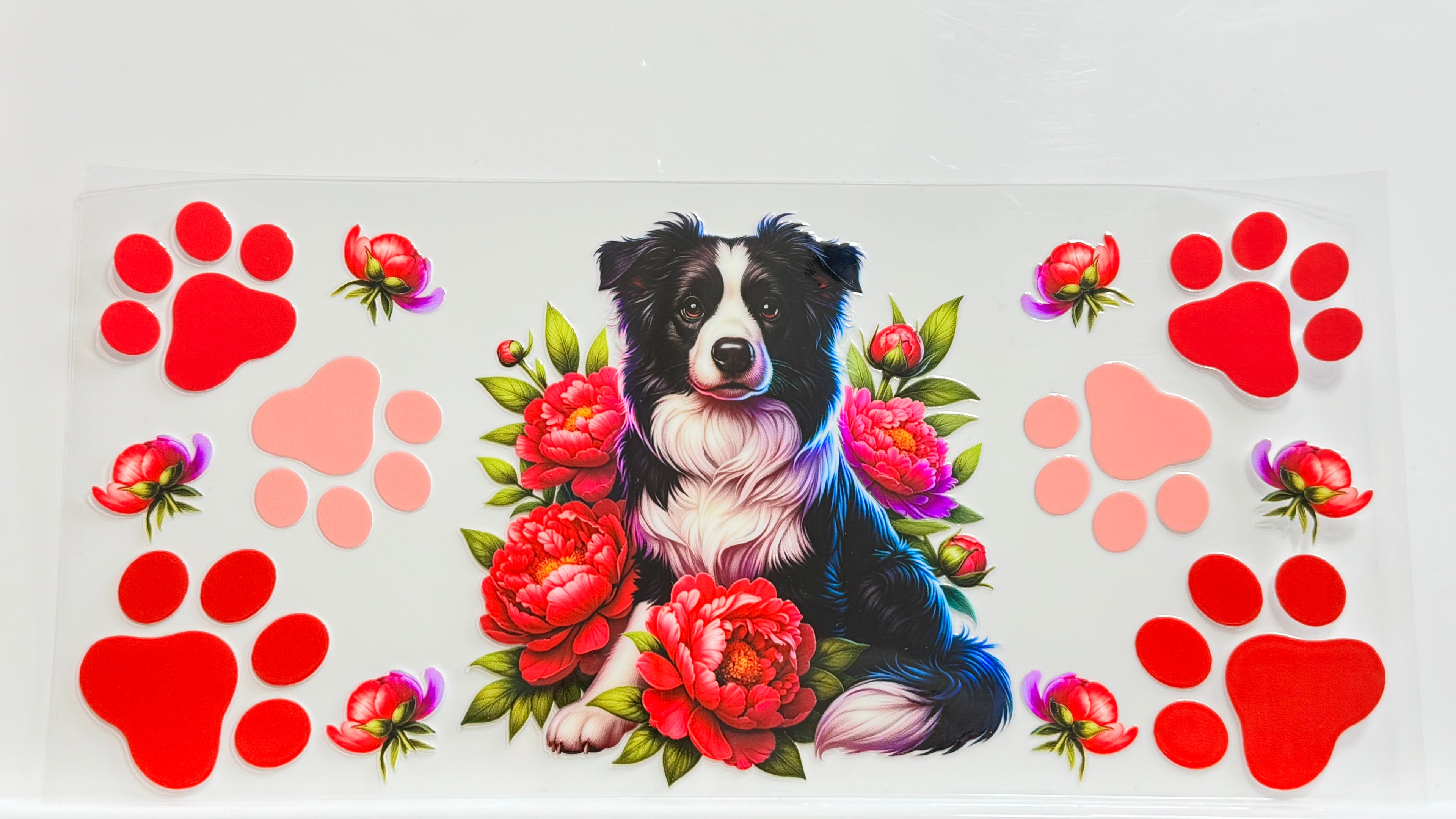 Cats and Dogs