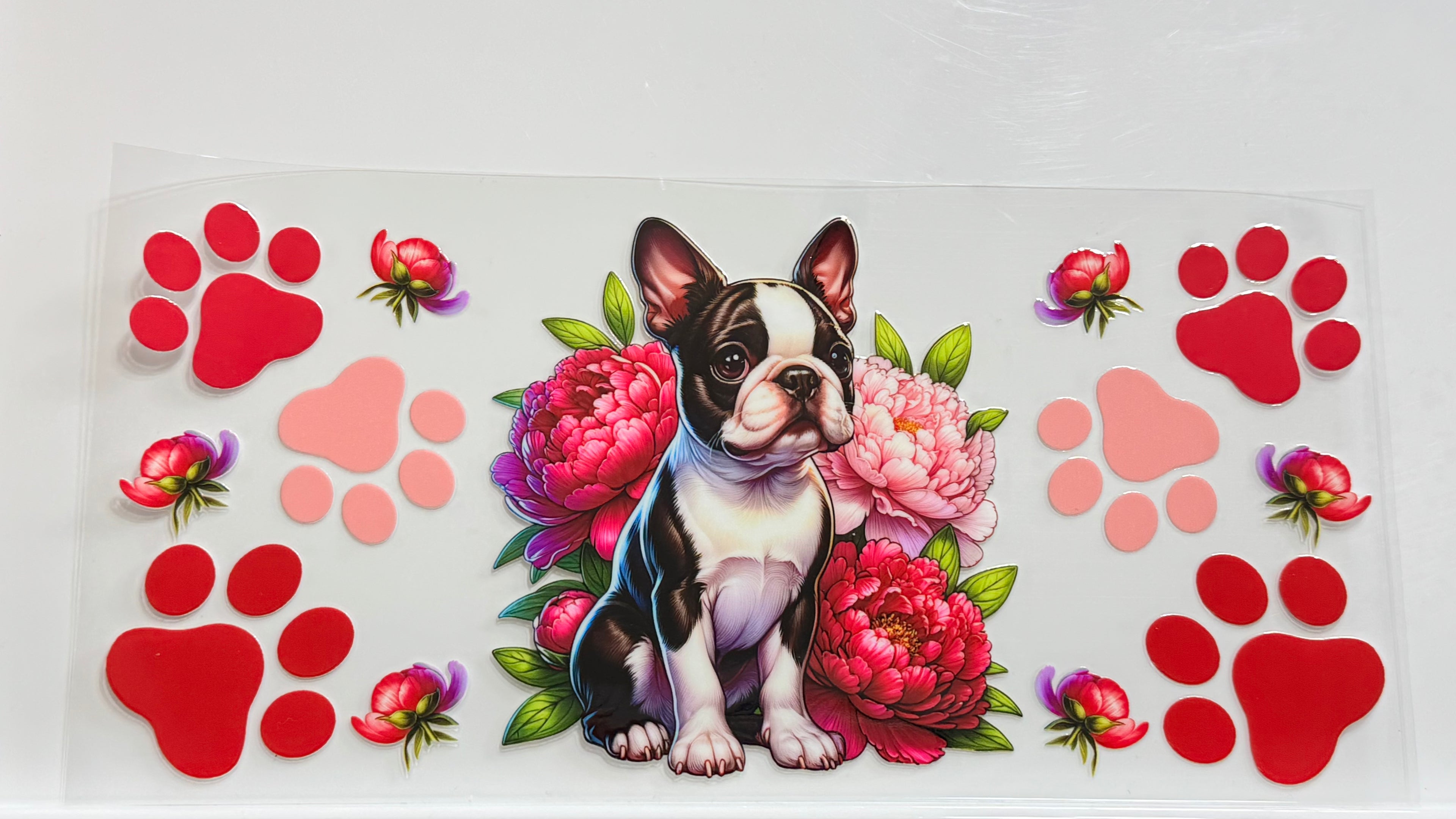 Cats and Dogs